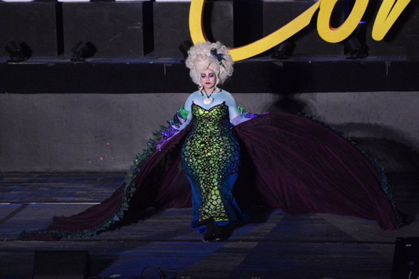 Photo Coverage: Go Behind the Scenes of BroadwayCon 2020! Photo Coverage: Go Behind the Scenes of BroadwayCon 2020! Image