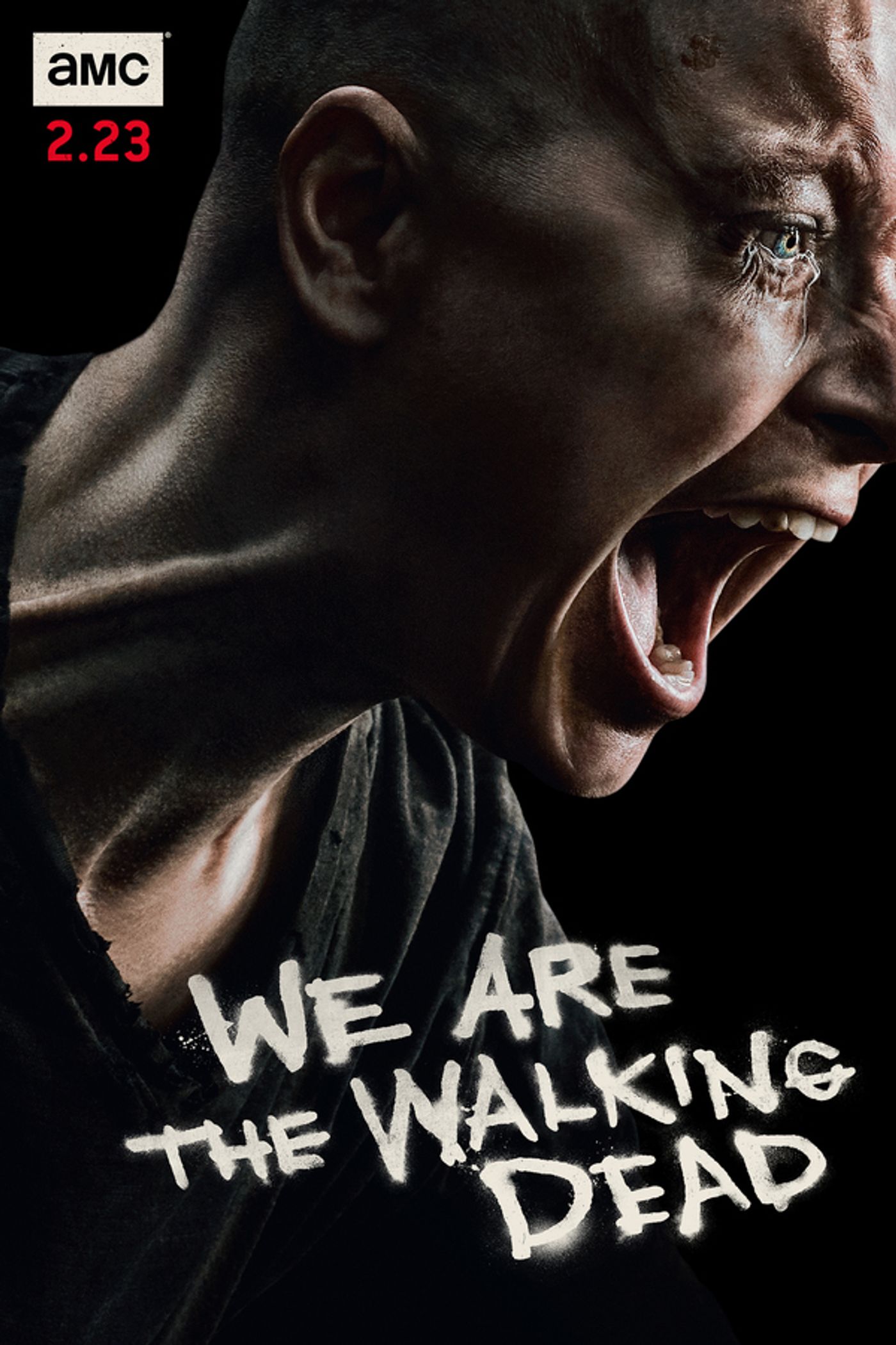 Photo Flash: AMC Releases Key Art Ahead of THE WALKING DEAD Mid-Season Premiere  Image