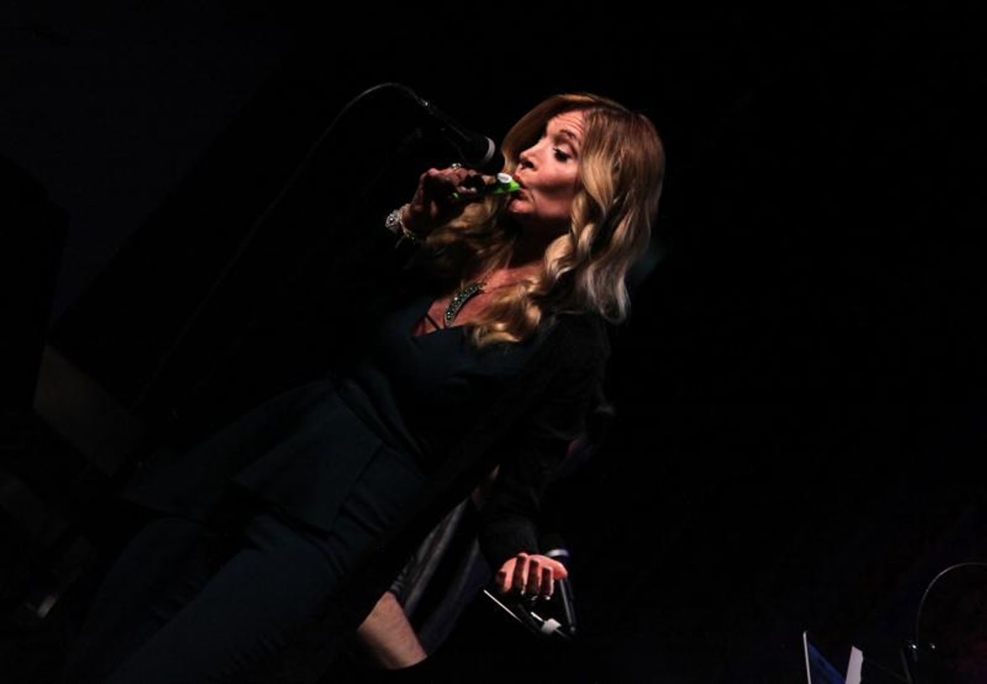 Review: CATHERINE PORTER AND JIM VALLANCE Rock A Full House At The Birdland Theater  Image