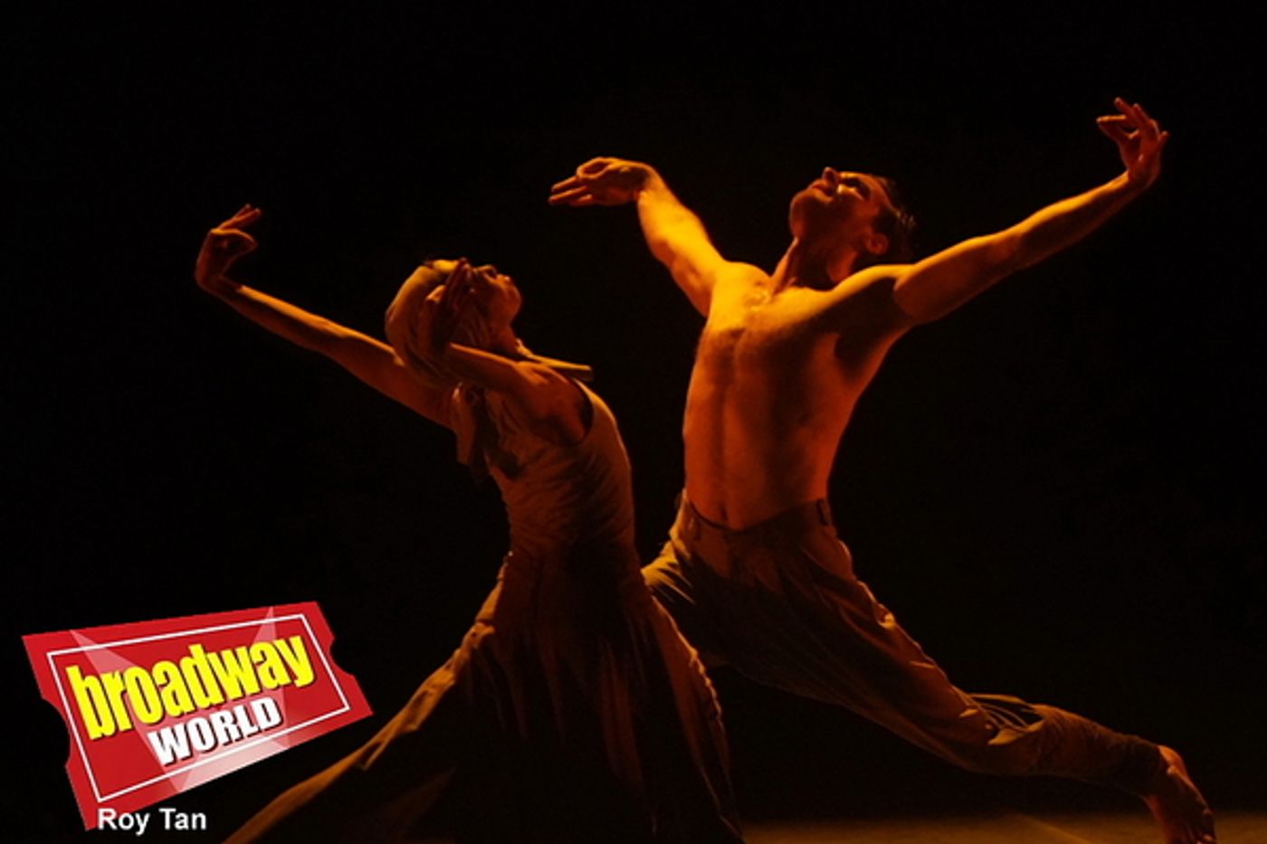 Photo Coverage: Annual BALLET ICONS GALA in London  Image