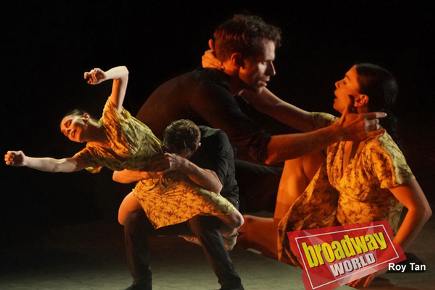 Photo Coverage: Annual BALLET ICONS GALA in London  Image