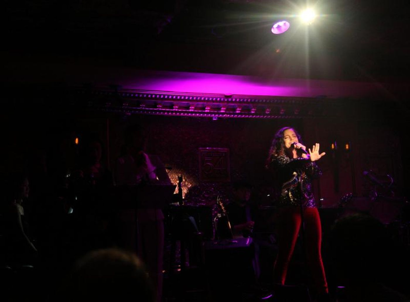 Review: Audience Cheers NEW WRITERS AT 54! HELEN PARK IN CONCERT at 54 Below Review: Audience Cheers NEW WRITERS AT 54! HELEN PARK IN CONCERT at 54 Below Image