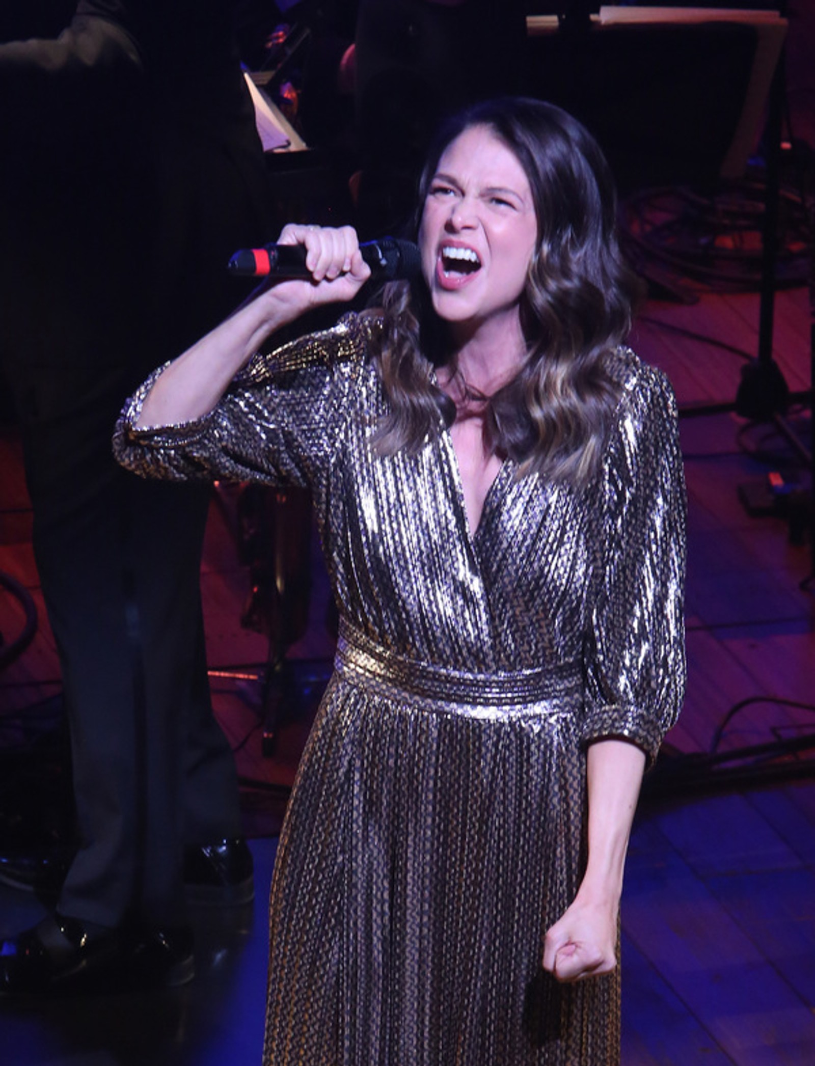 Photo Coverage: Broadway Unites to Honor the Late, Great Jerry Herman — photo 19 of 71