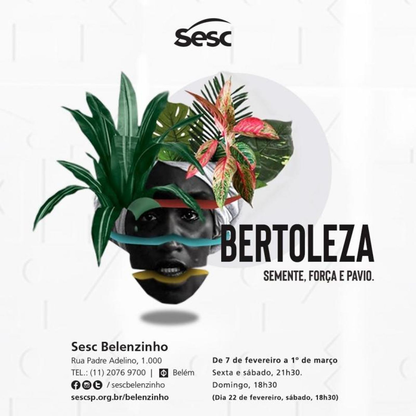 Review: Classic of Brazilian Literature Inspires Musical BERTOLEZA and Gives Voice to Black Women  Image