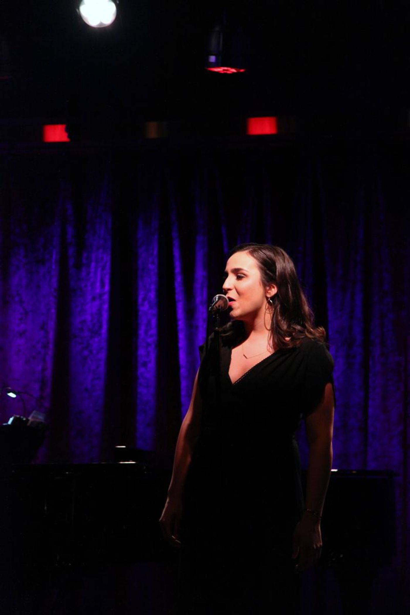 Review: BRIDGING THE GAP Ushers in the Future at The Birdland Theater  Image
