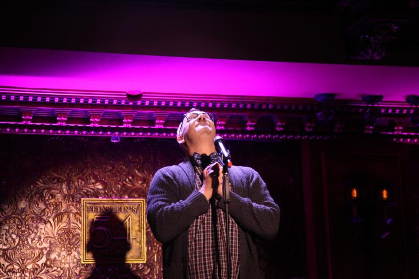 Review: I WISH: THE ROLES THAT COULD HAVE BEEN Still Packs a Punch at 54 Below  Image