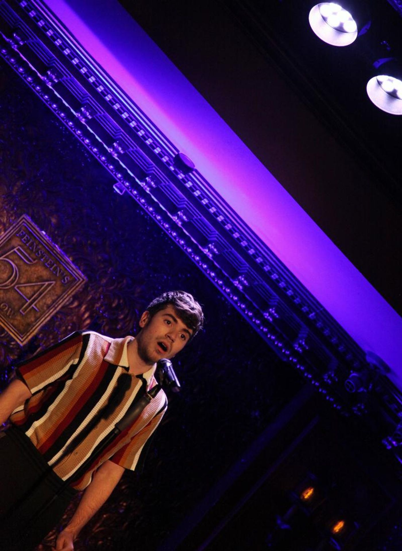 Review: I WISH: THE ROLES THAT COULD HAVE BEEN Still Packs a Punch at 54 Below  Image