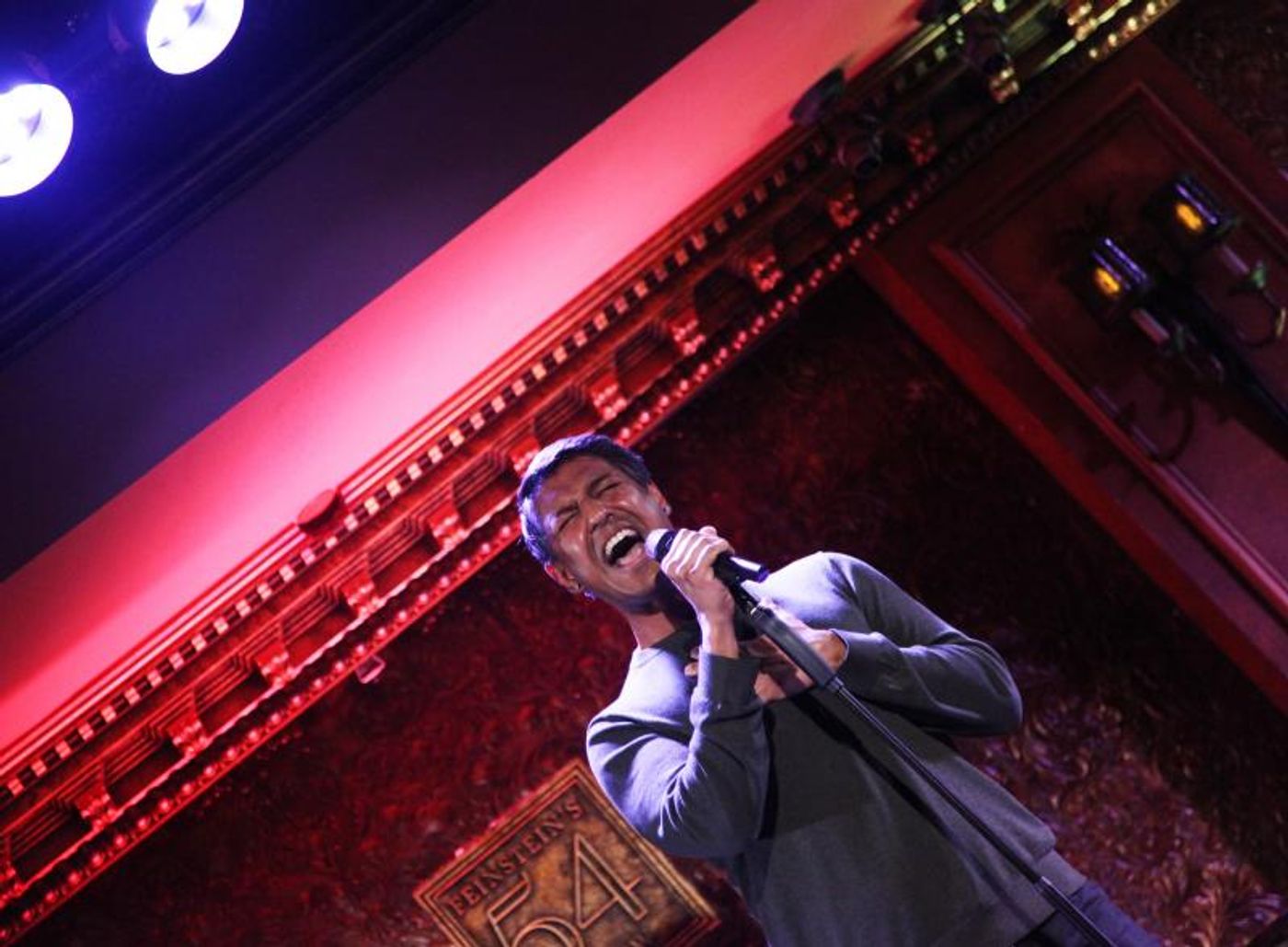 Review: I WISH: THE ROLES THAT COULD HAVE BEEN Still Packs a Punch at 54 Below  Image