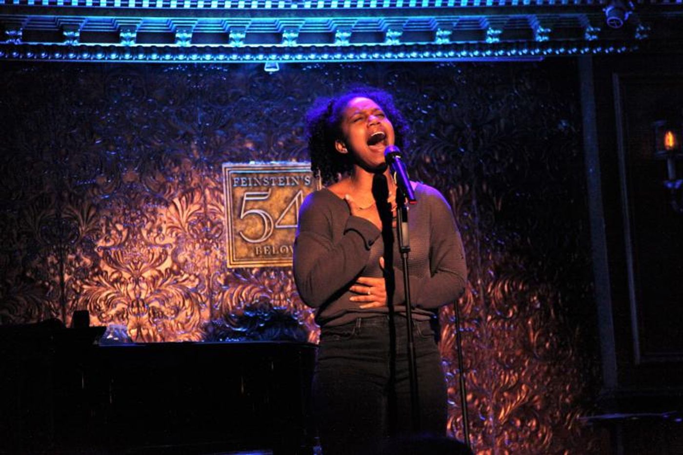 Review: I WISH: THE ROLES THAT COULD HAVE BEEN Still Packs a Punch at 54 Below  Image