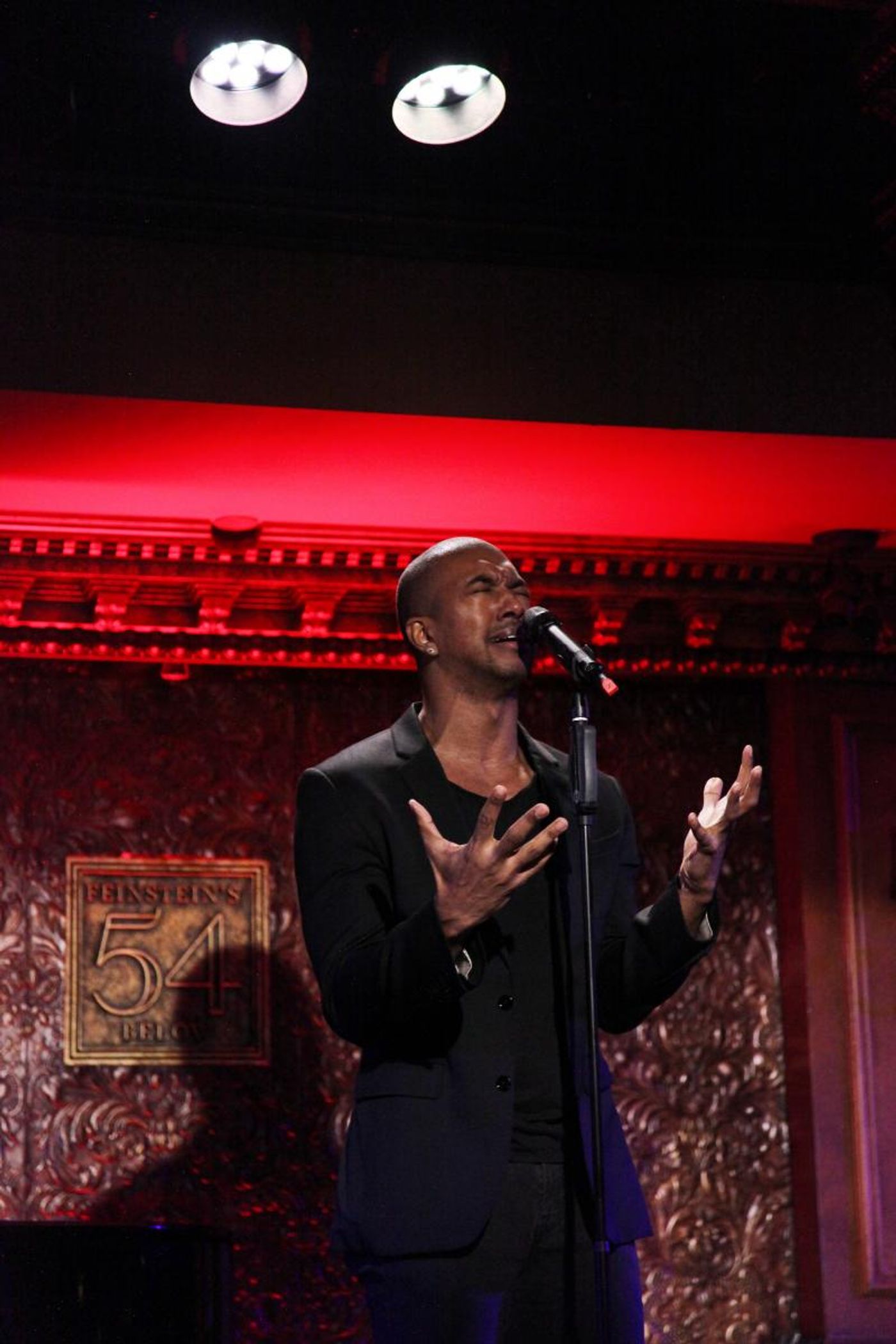 Review: I WISH: THE ROLES THAT COULD HAVE BEEN Still Packs a Punch at 54 Below  Image