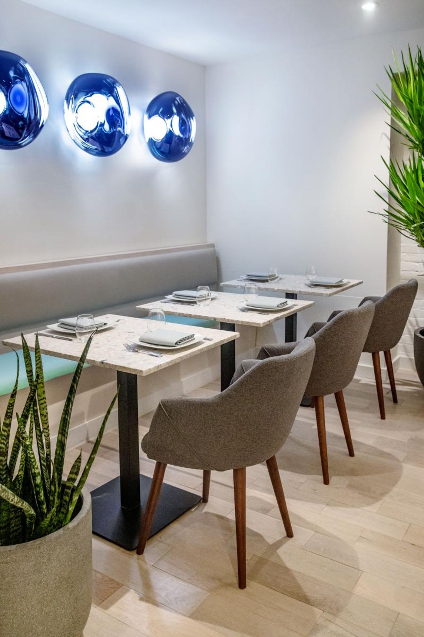 Review: NISI Opens in the Times Square Area to the Delight of Theatergoers and Many More Review: NISI Opens in the Times Square Area to the Delight of Theatergoers and Many More Image