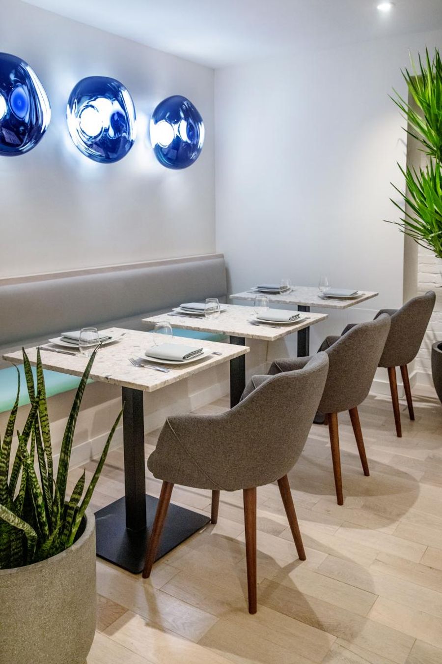 Review: NISI Opens in the Times Square Area to the Delight of Theatergoers and Many More Image