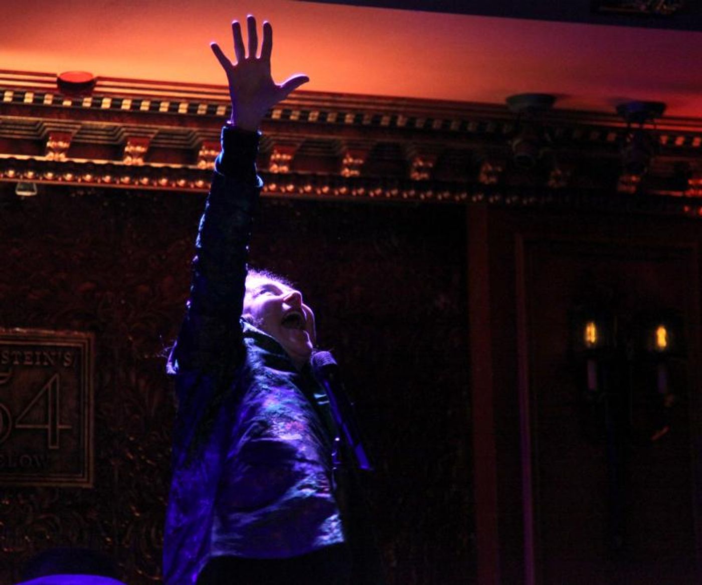 Review: Tovah Feldshuh is Timeless in AGING IS OPTIONAL at 54 Below  Image