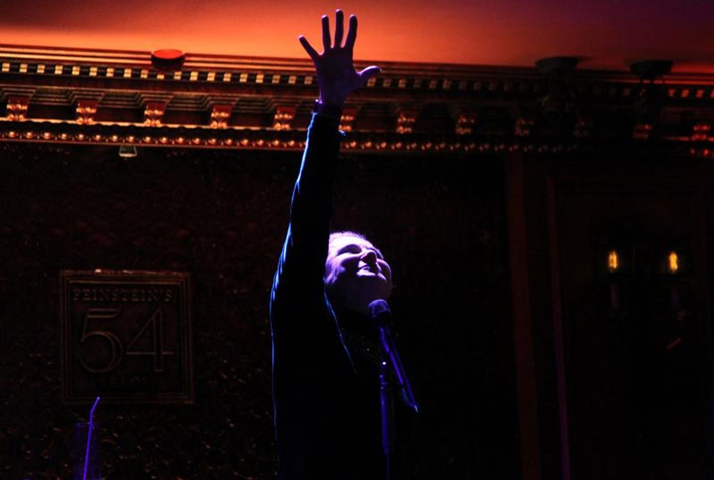 Review: Tovah Feldshuh is Timeless in AGING IS OPTIONAL at 54 Below  Image