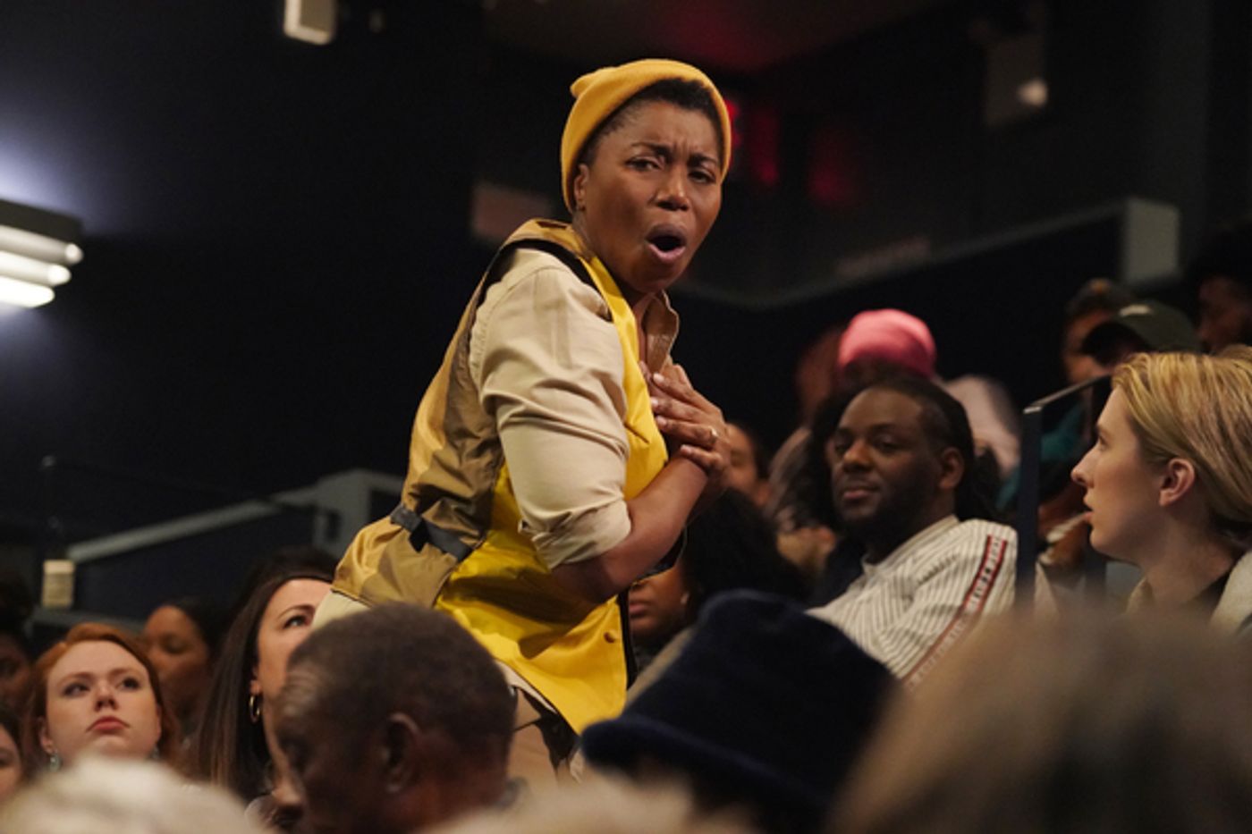 Photos/Video: First Look at WHERE WE STAND, Opening Tonight at WP Theater  Image