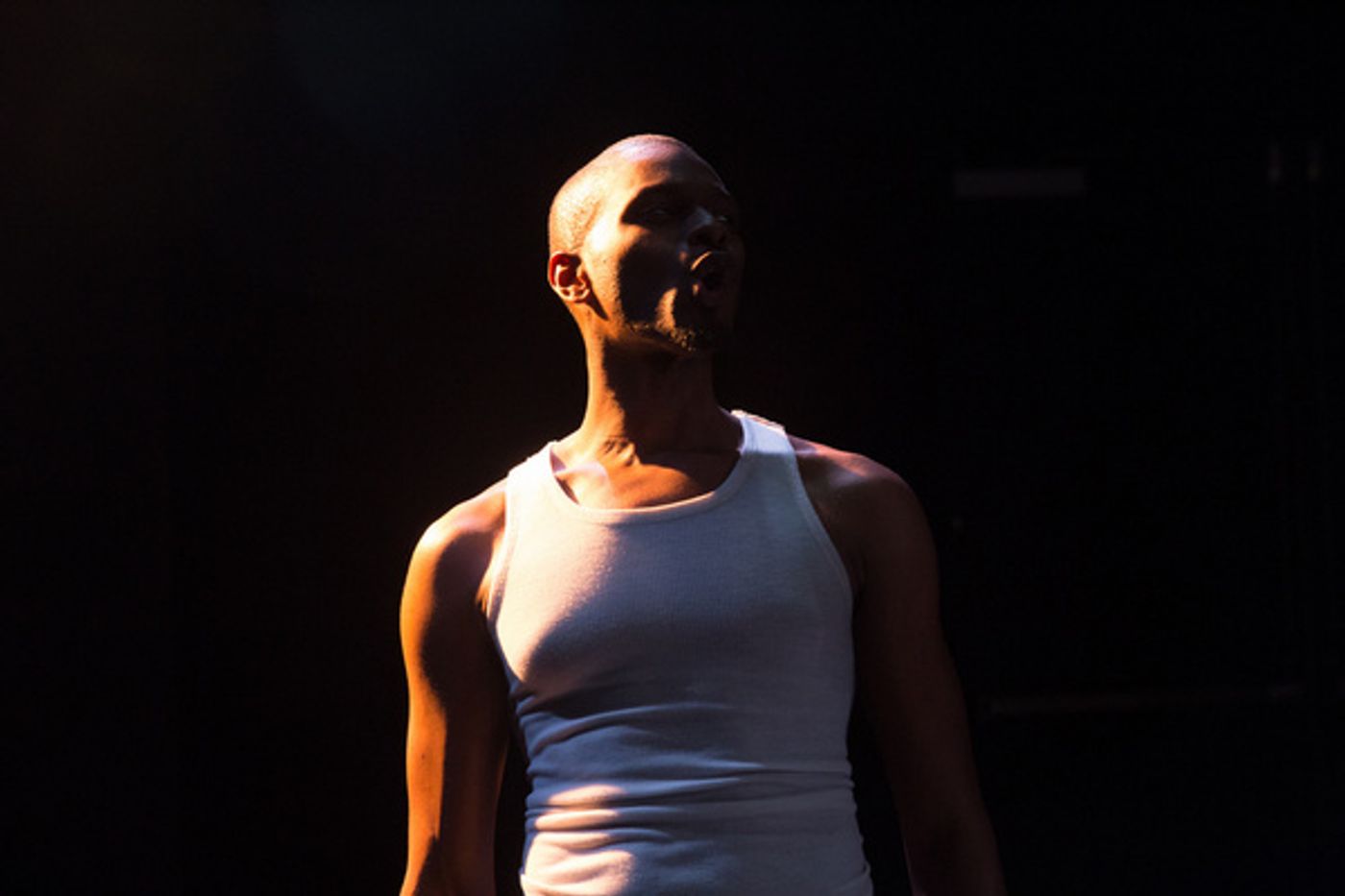 Photo Flash: Luna Stage Presents Lucille Lortel Award-Winner PASS OVER  Image