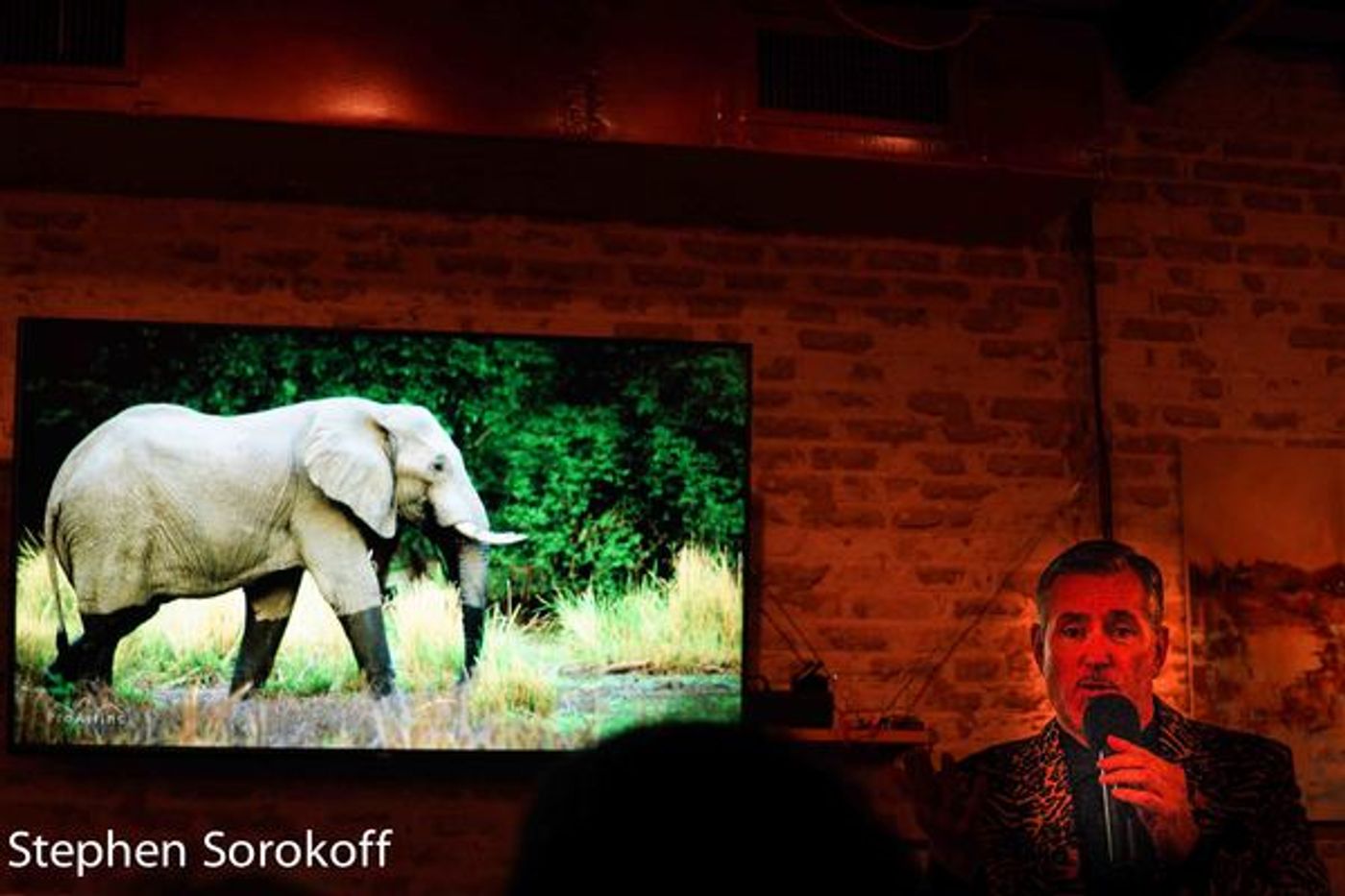 Photo Coverage: Rob Russell Brings Safari Night To Cabaret At Cafe Centro  Image
