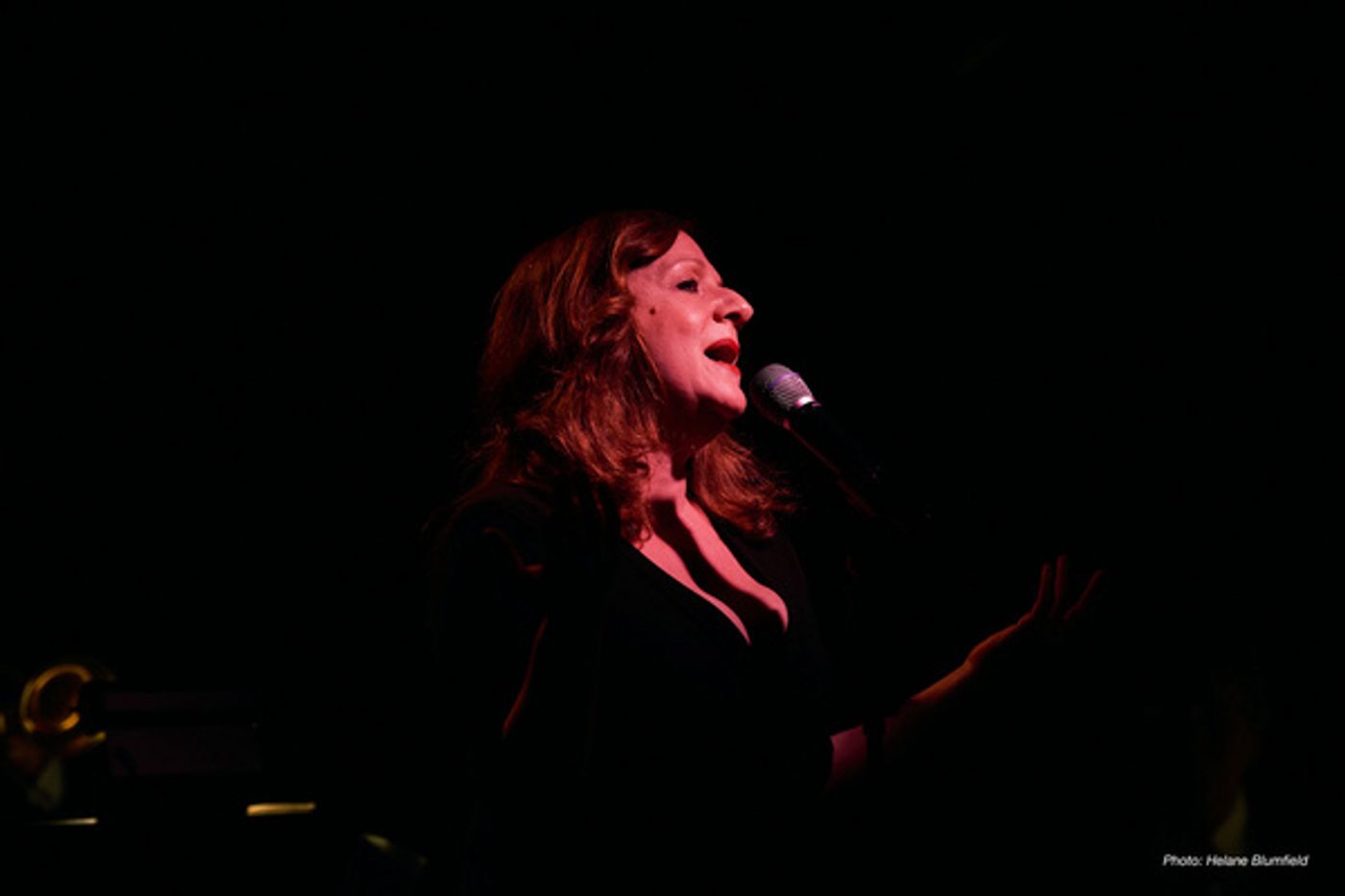 Photo Flash: Jennifer Pace At The Laurie Beechman  Image