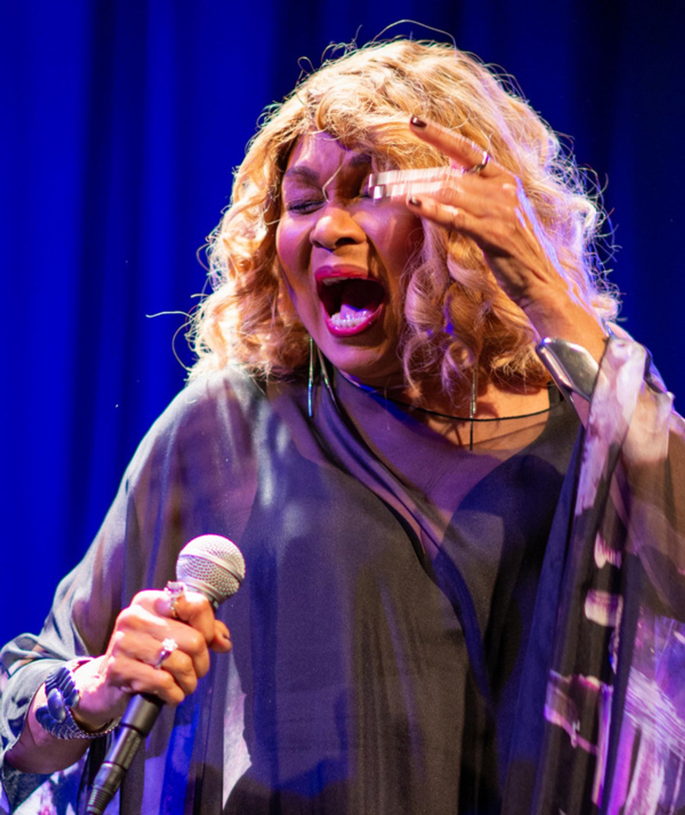 Photo Flash: The Riant Theatre Hosts THE STRAWBERRY ONE-ACT FESTIVAL Gala  Image