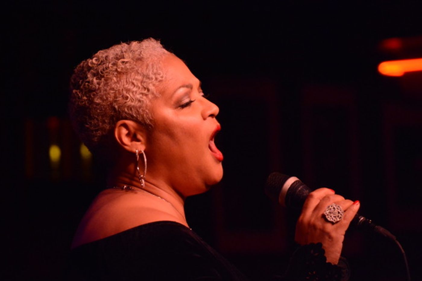 Photo Coverage: Jamie deRoy & Friends Perform at Birdland  Image