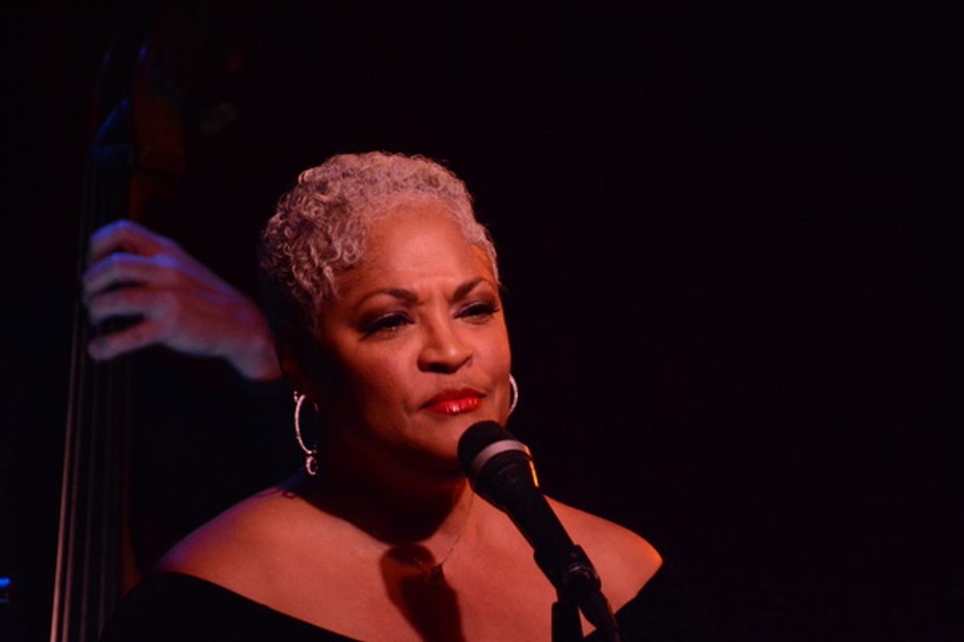 Photo Coverage: Jamie deRoy & Friends Perform at Birdland  Image