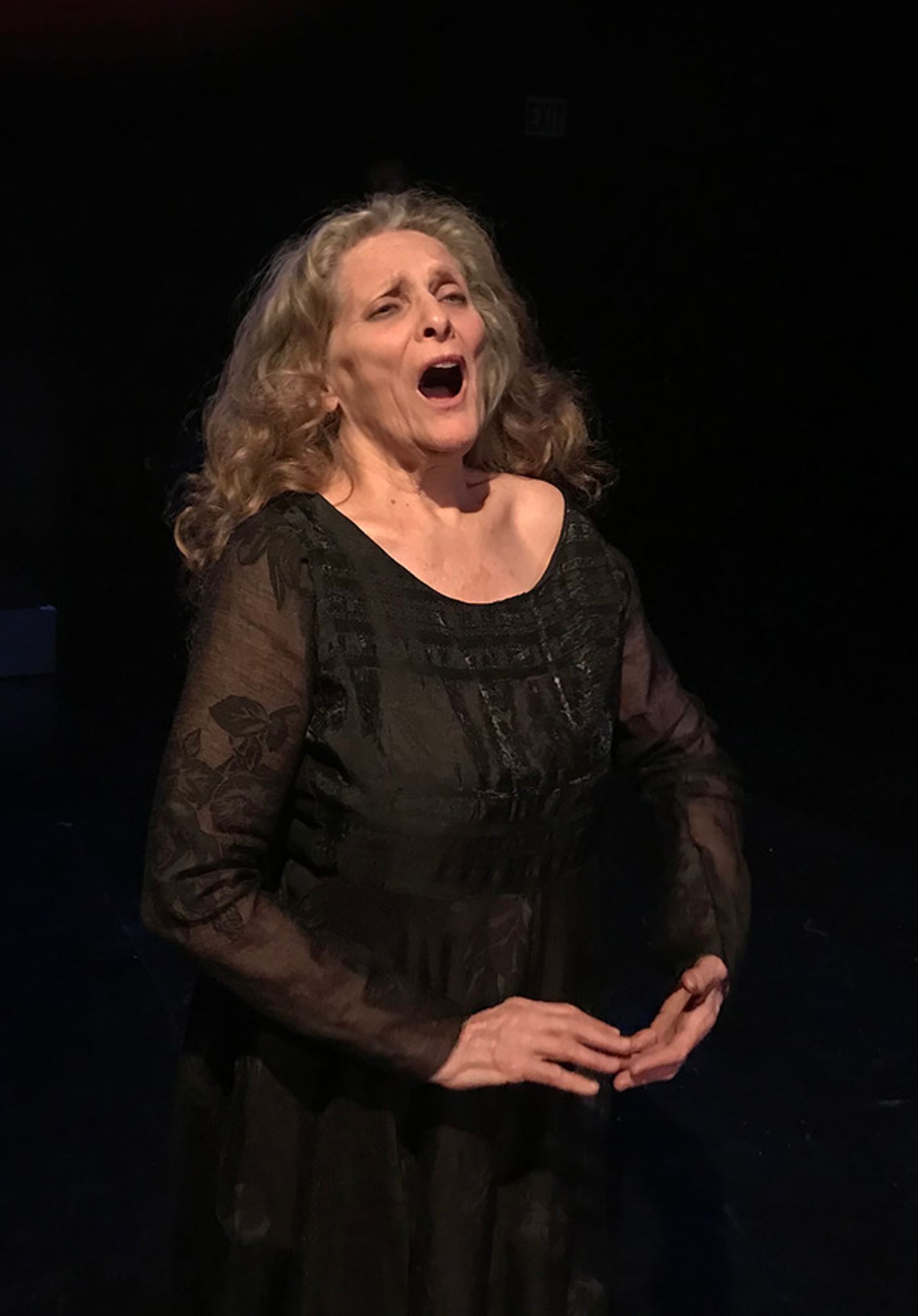 Photo Flash: Open Fist Theatre Company Celebrates 30 Years with RORSCHACH FEST  Image