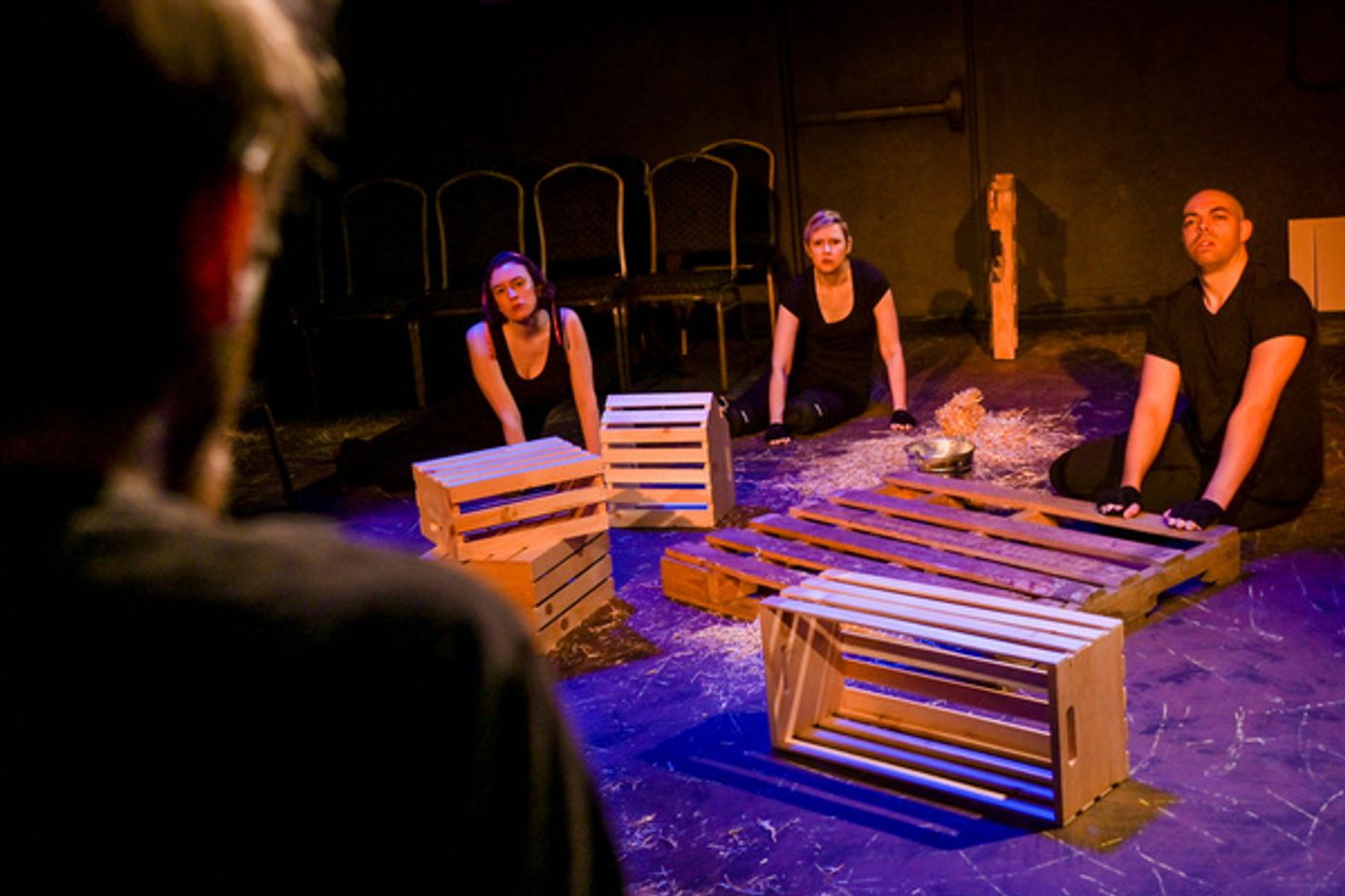 Photo Flash: The Seeing Place's World Premiere Of ANIMAL FARM  Image