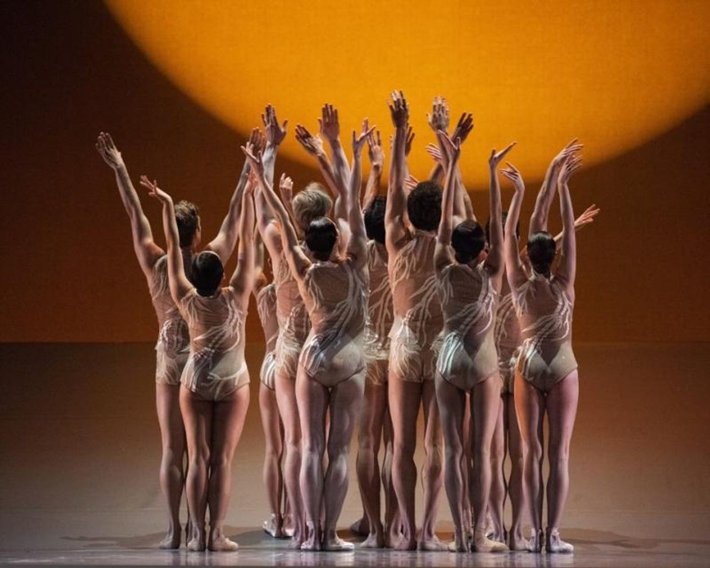 Review: DANCE INNOVATIONS at San Francisco Ballet Delivers Thrills and Heartbreak Review: DANCE INNOVATIONS at San Francisco Ballet Delivers Thrills and Heartbreak Image