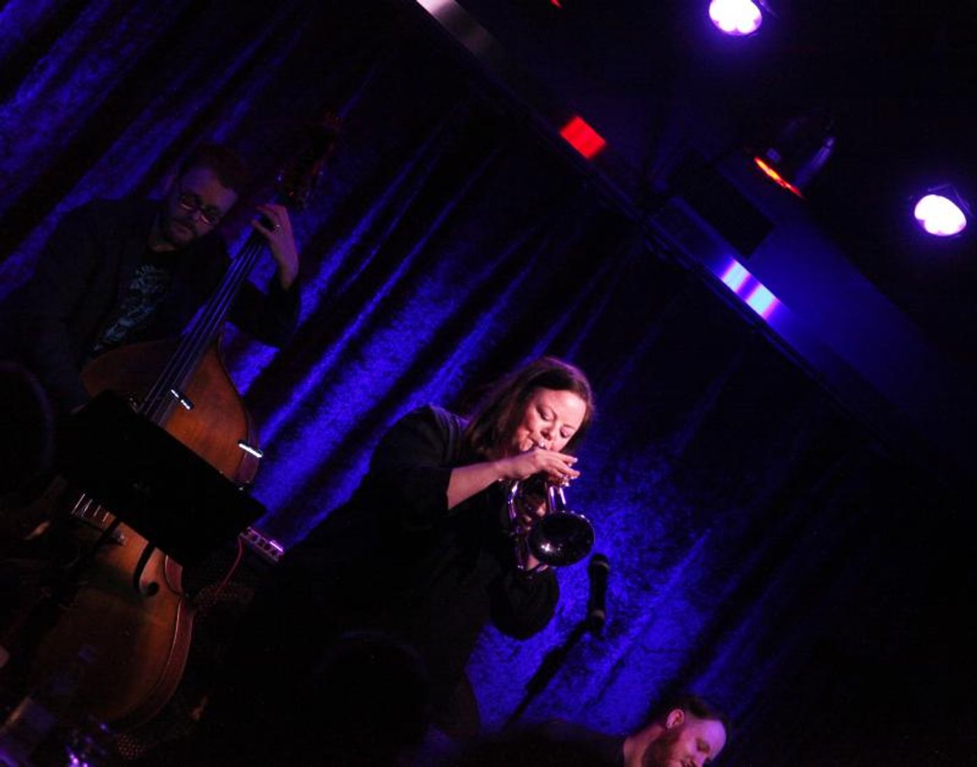 Review: Audiences Are Elated When MATT BAKER HOSTS 0Z RELIEF 2020 at The Birdland Theater  Image