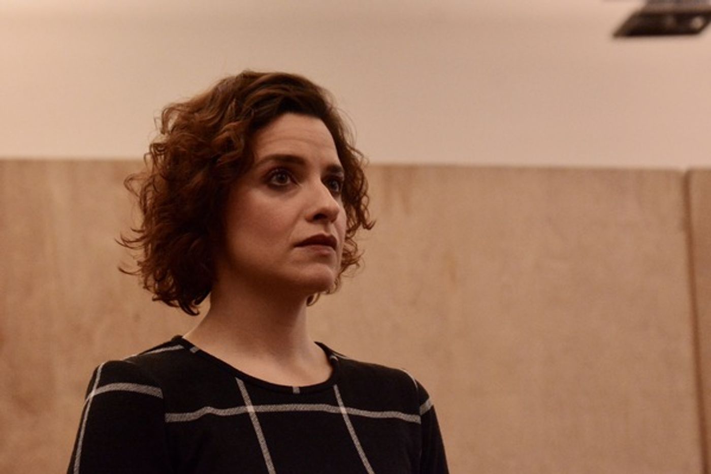 Photo Coverage: The Cast of MRS. DOUBTFIRE Meets the Press  Image