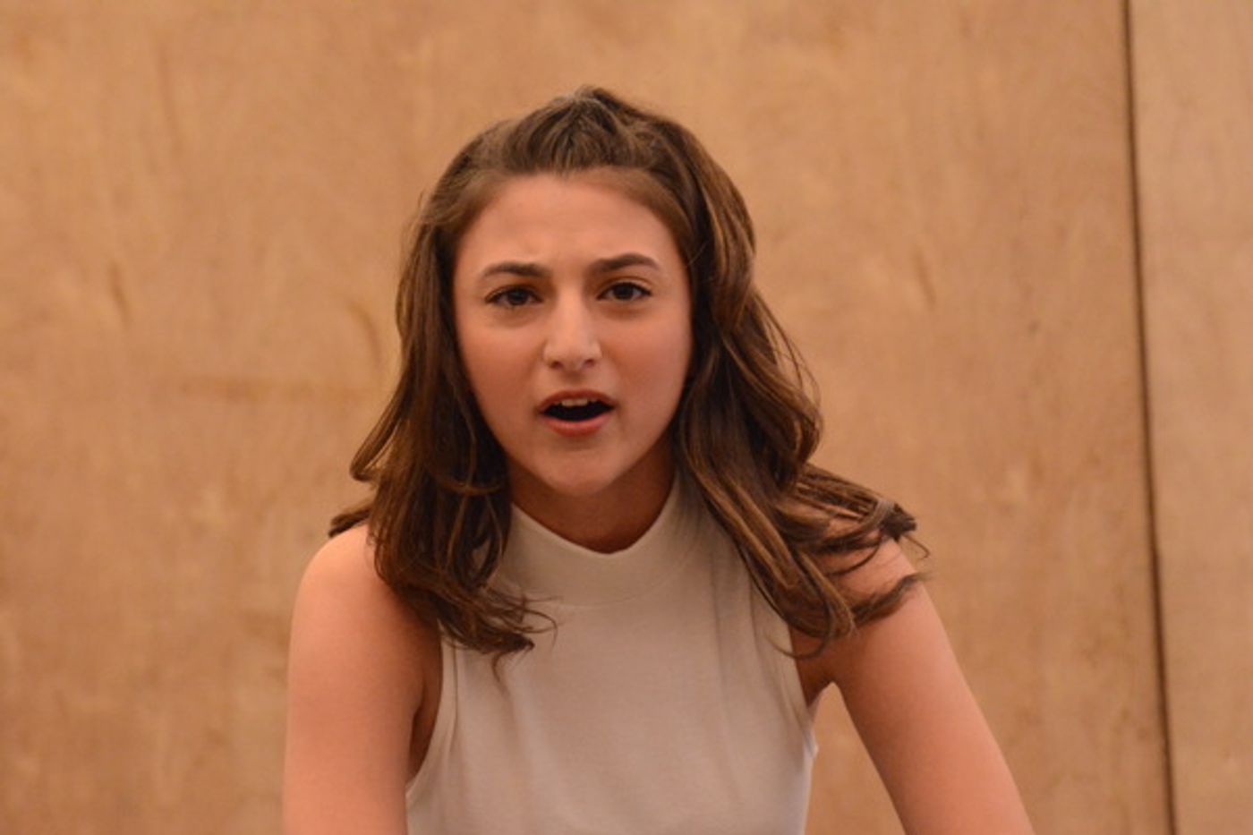 Photo Coverage: The Cast of MRS. DOUBTFIRE Meets the Press  Image