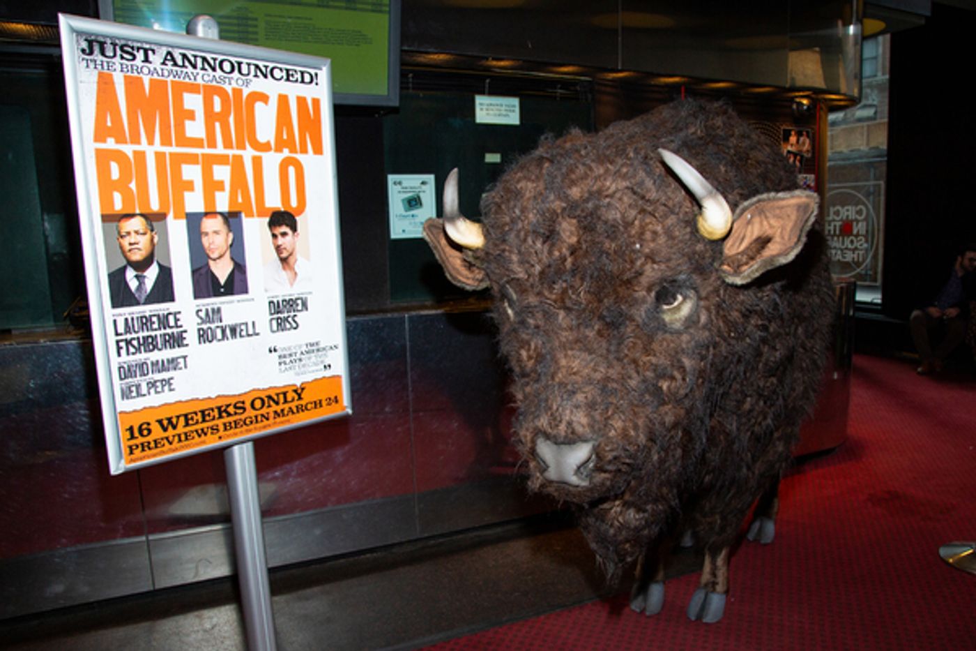 Photo Coverage: Nickel the Buffalo Takes Residence at AMERICAN BUFFALO Photo Coverage: Nickel the Buffalo Takes Residence at AMERICAN BUFFALO Image