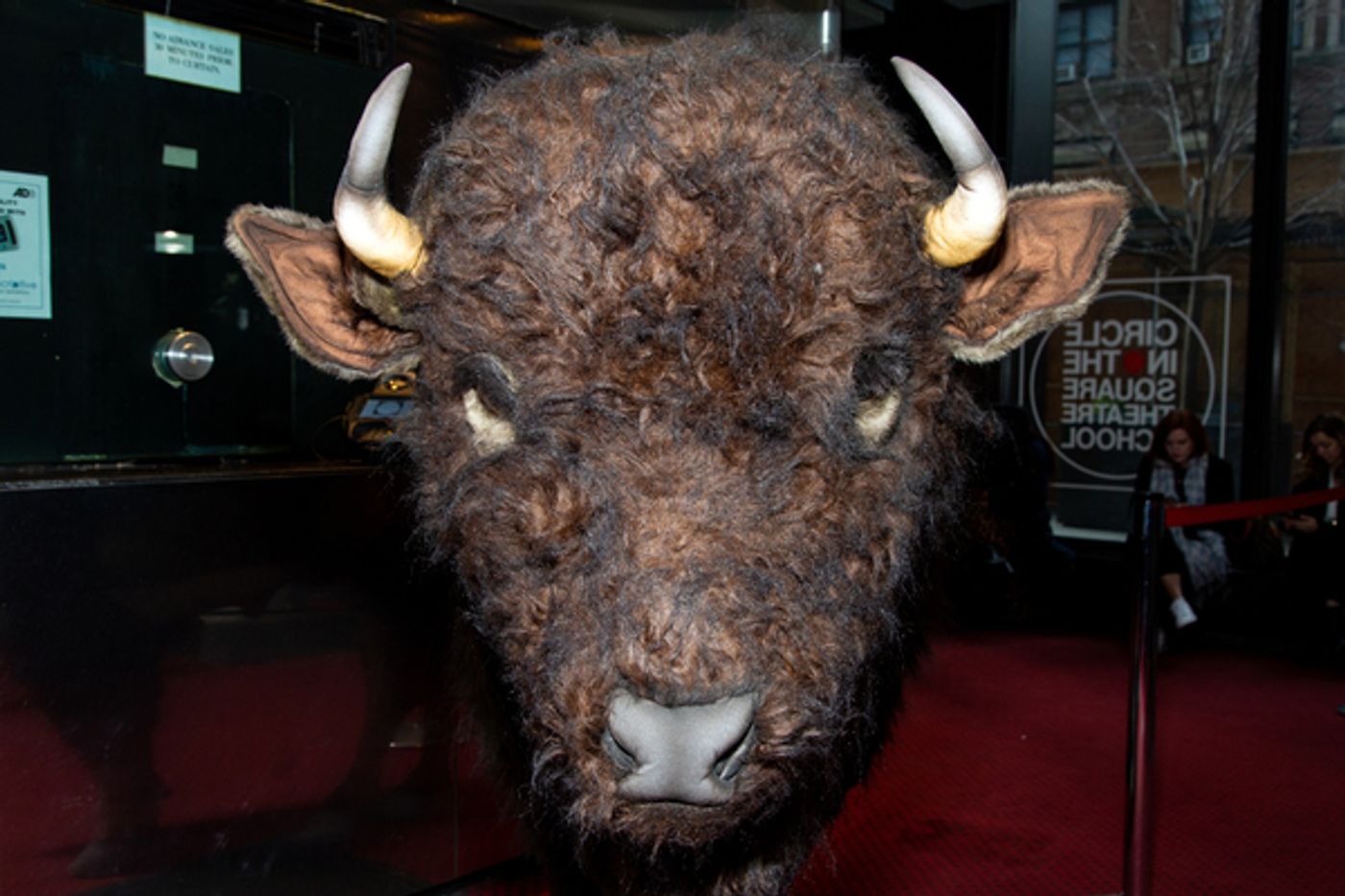Photo Coverage: Nickel the Buffalo Takes Residence at AMERICAN BUFFALO Photo Coverage: Nickel the Buffalo Takes Residence at AMERICAN BUFFALO Image