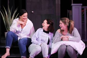 Elizabeth Birnkrant, Ashley Neal and Amanda Fink @ BroadwayWorld Elizabeth Birnkrant, Ashley Neal and Amanda Fink Photo