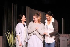 Ashley Neal, Amanda Fink and Elizabeth Birnkrant @ BroadwayWorld Ashley Neal, Amanda Fink and Elizabeth Birnkrant Photo