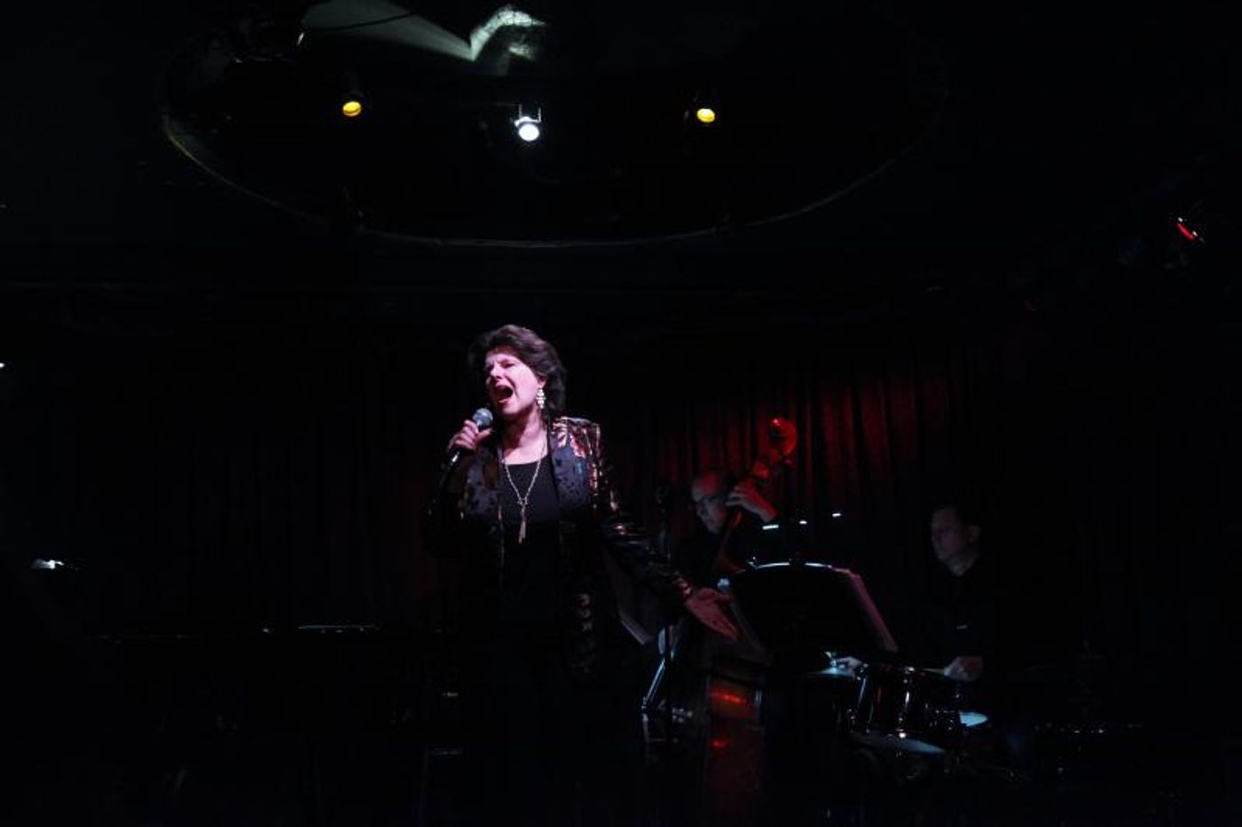 Review: The Chamlins Are More Aptly Called The Charmings in THE MARVELOUS MR. MERCER at Don't Tell Mama Review: The Chamlins Are More Aptly Called The Charmings in THE MARVELOUS MR. MERCER at Don't Tell Mama Image