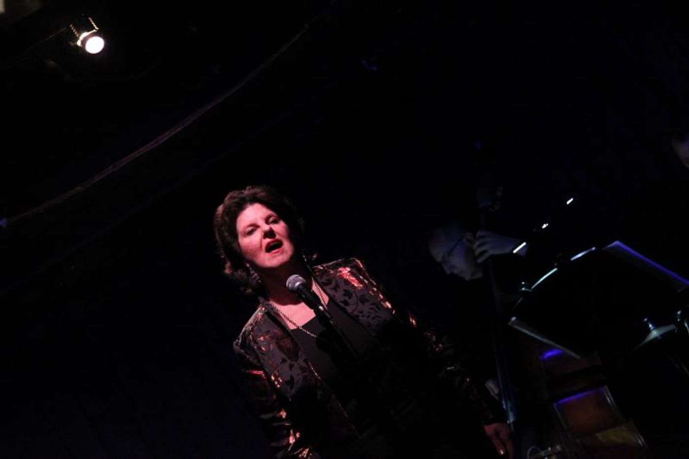 Review: The Chamlins Are More Aptly Called The Charmings in THE MARVELOUS MR. MERCER at Don't Tell Mama Review: The Chamlins Are More Aptly Called The Charmings in THE MARVELOUS MR. MERCER at Don't Tell Mama Image