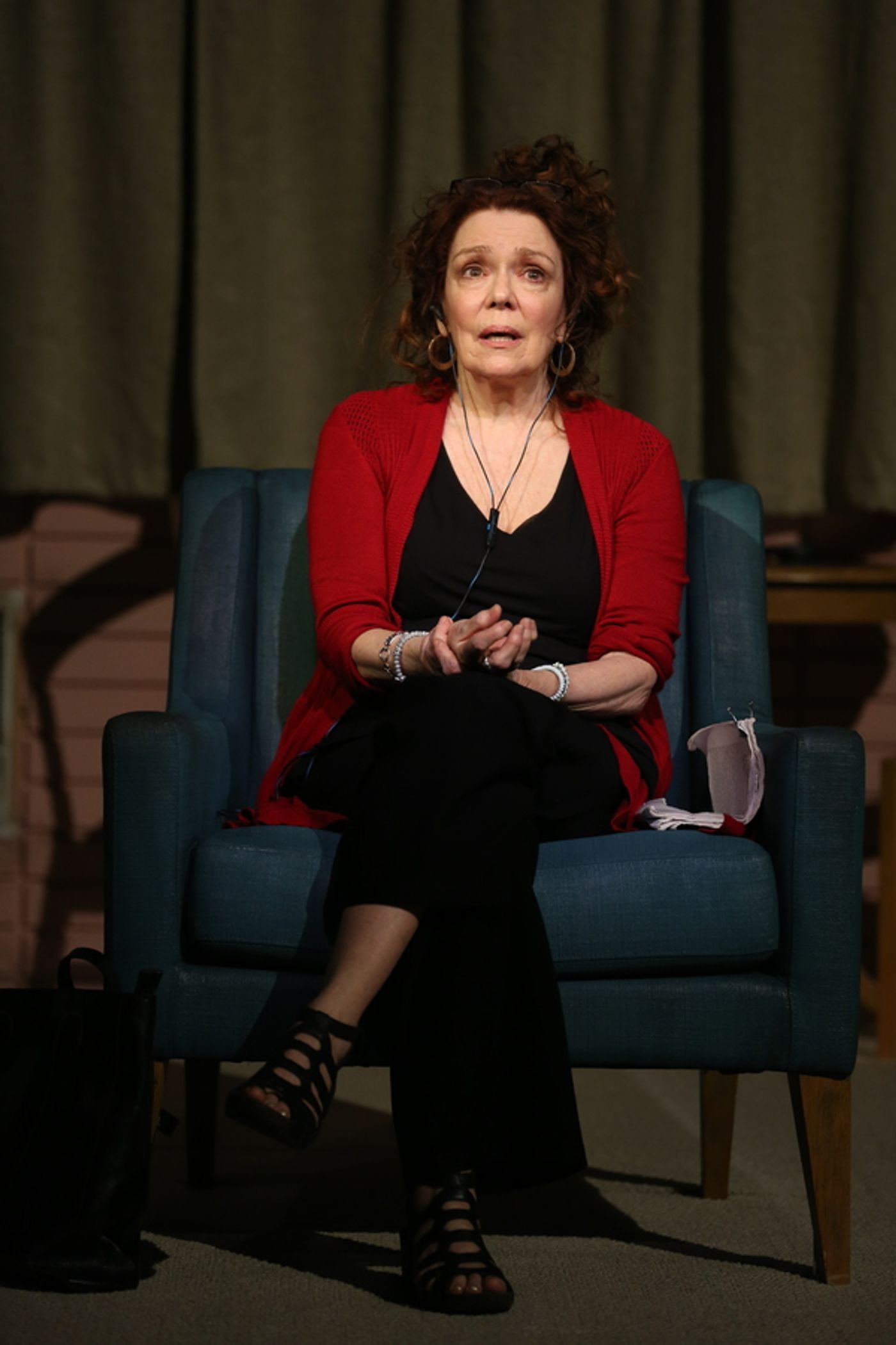 Photo Flash: DANA H. Extends at Vineyard Theatre; Get a First Look!  Image