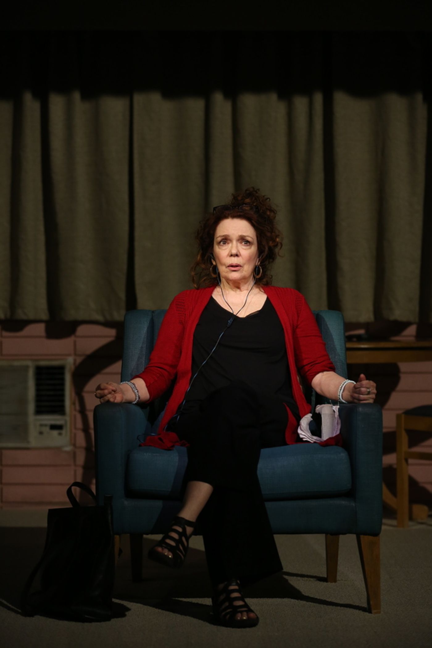 Photo Flash: DANA H. Extends at Vineyard Theatre; Get a First Look!  Image