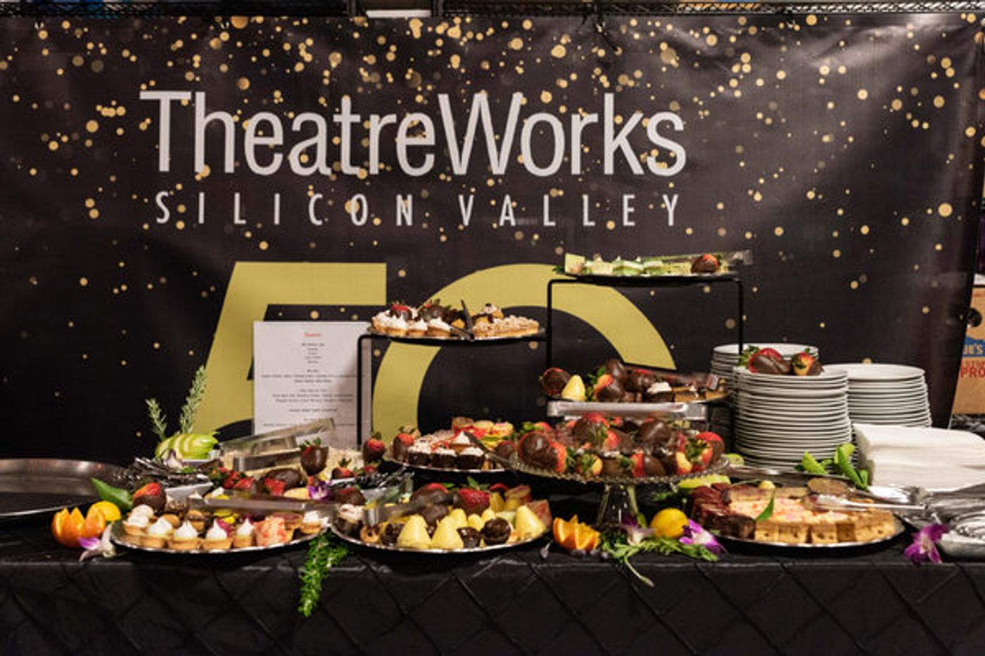 Photo Flash: TheatreWorks Launches 50th Anniversary Campaign  Image