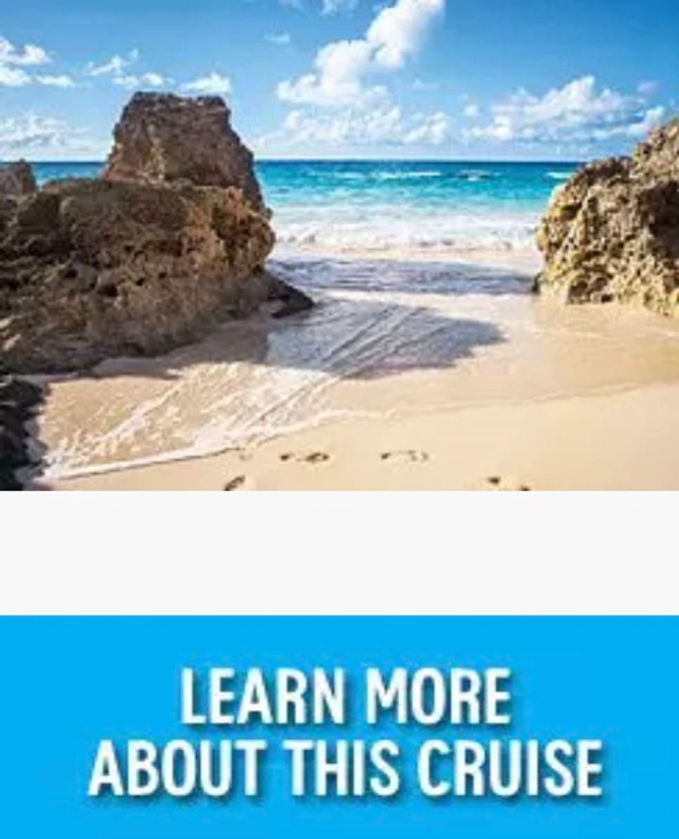 Cruise with Seth Rudetsky and Other Broadway Stars!  Image