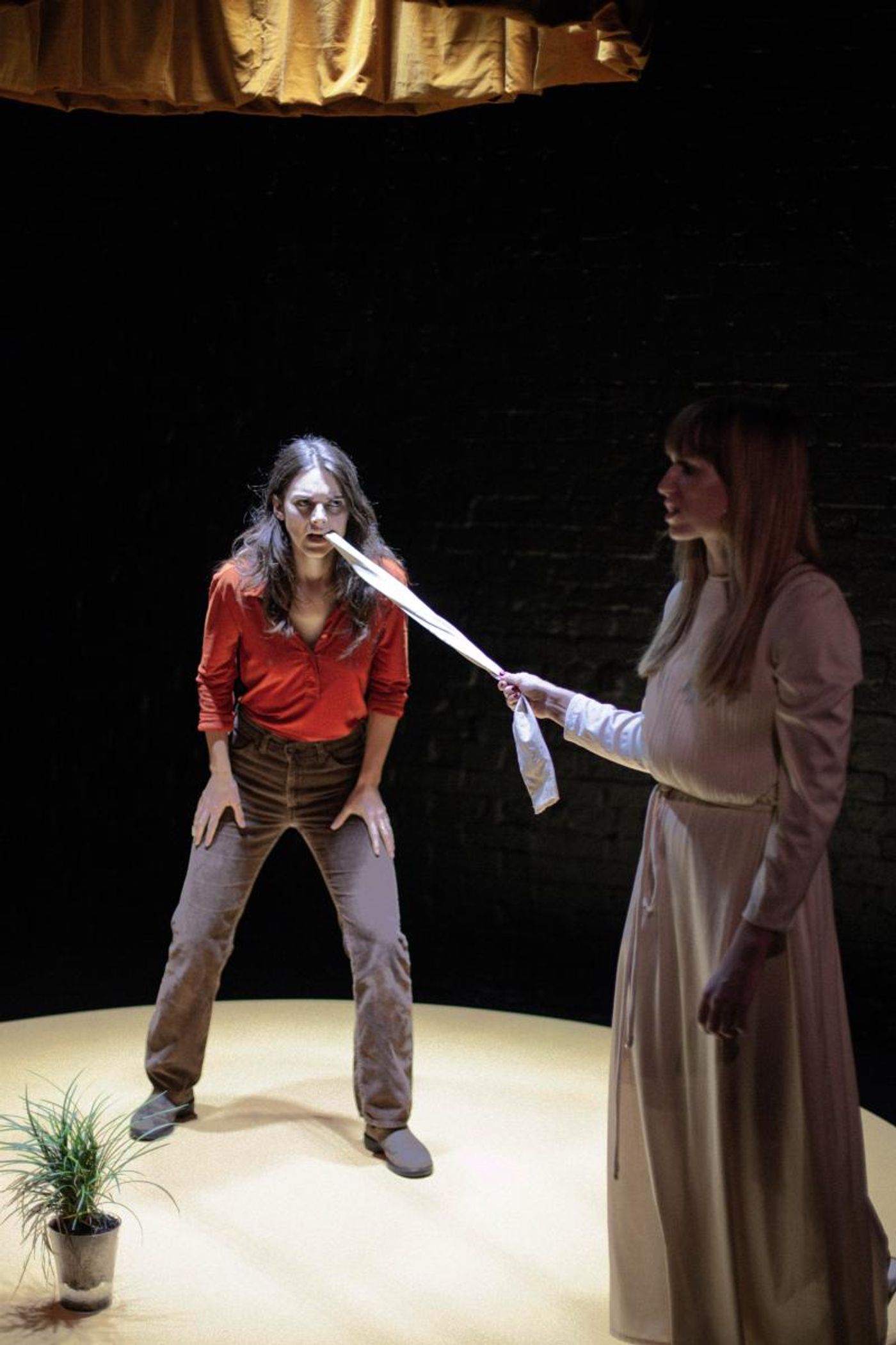 Review: A New Generation Finding Solace From The Perceived Pressures Of Life Is Presented in SHEPHERD  Image