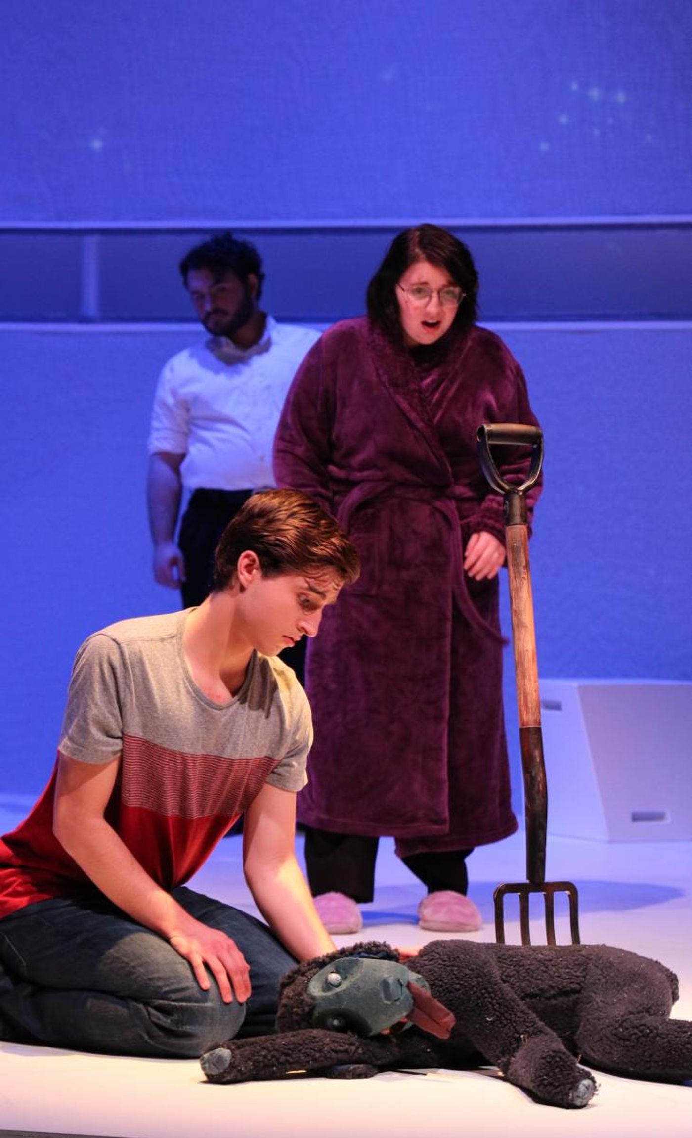 Review: THE CURIOUS INCIDENT OF THE DOG IN THE NIGHT-TIME at CT Repertory Theatre  Image