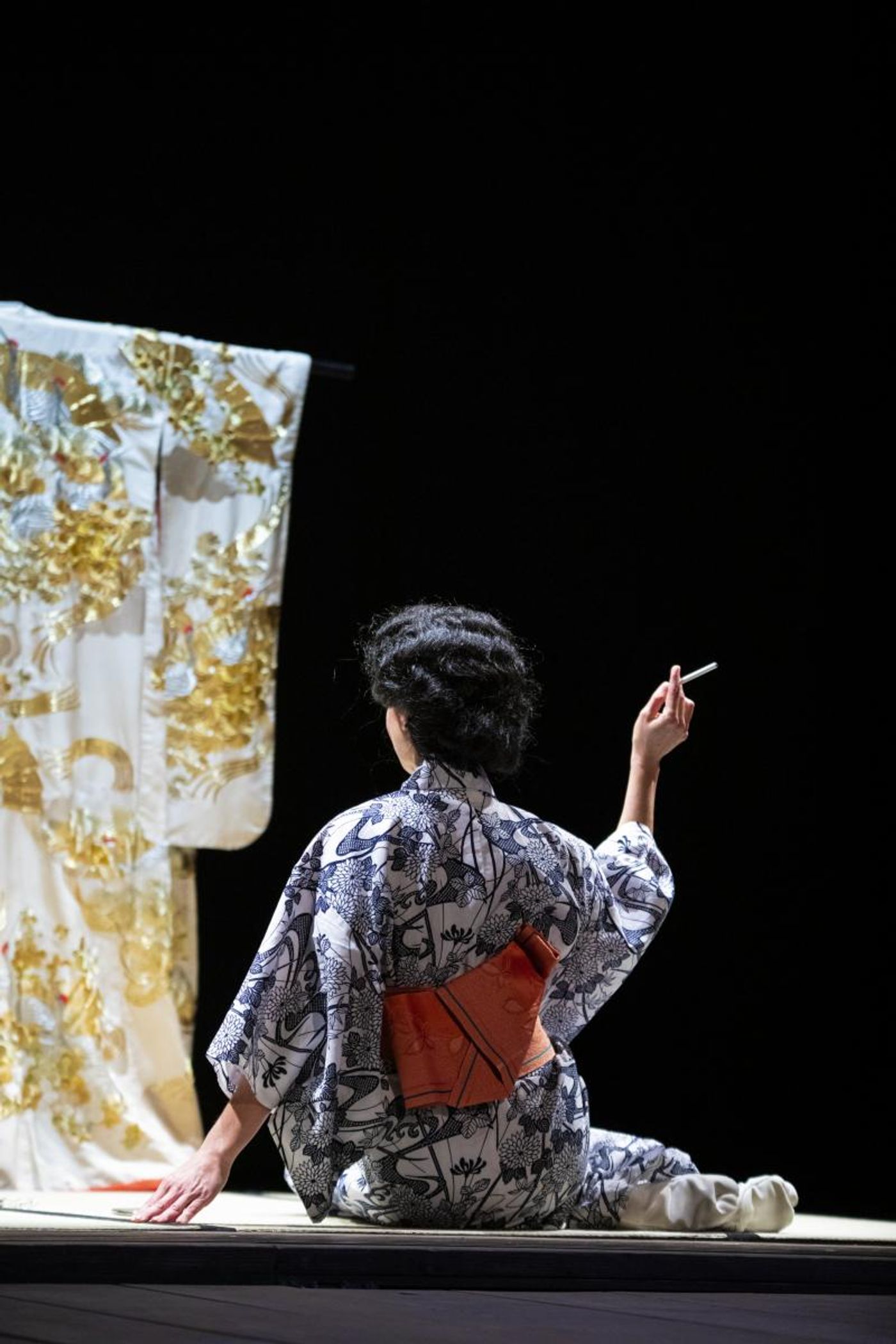 Photo Flash: First Look at the National Theatre's THE SEVEN STREAMS OF THE RIVER OTA  Image