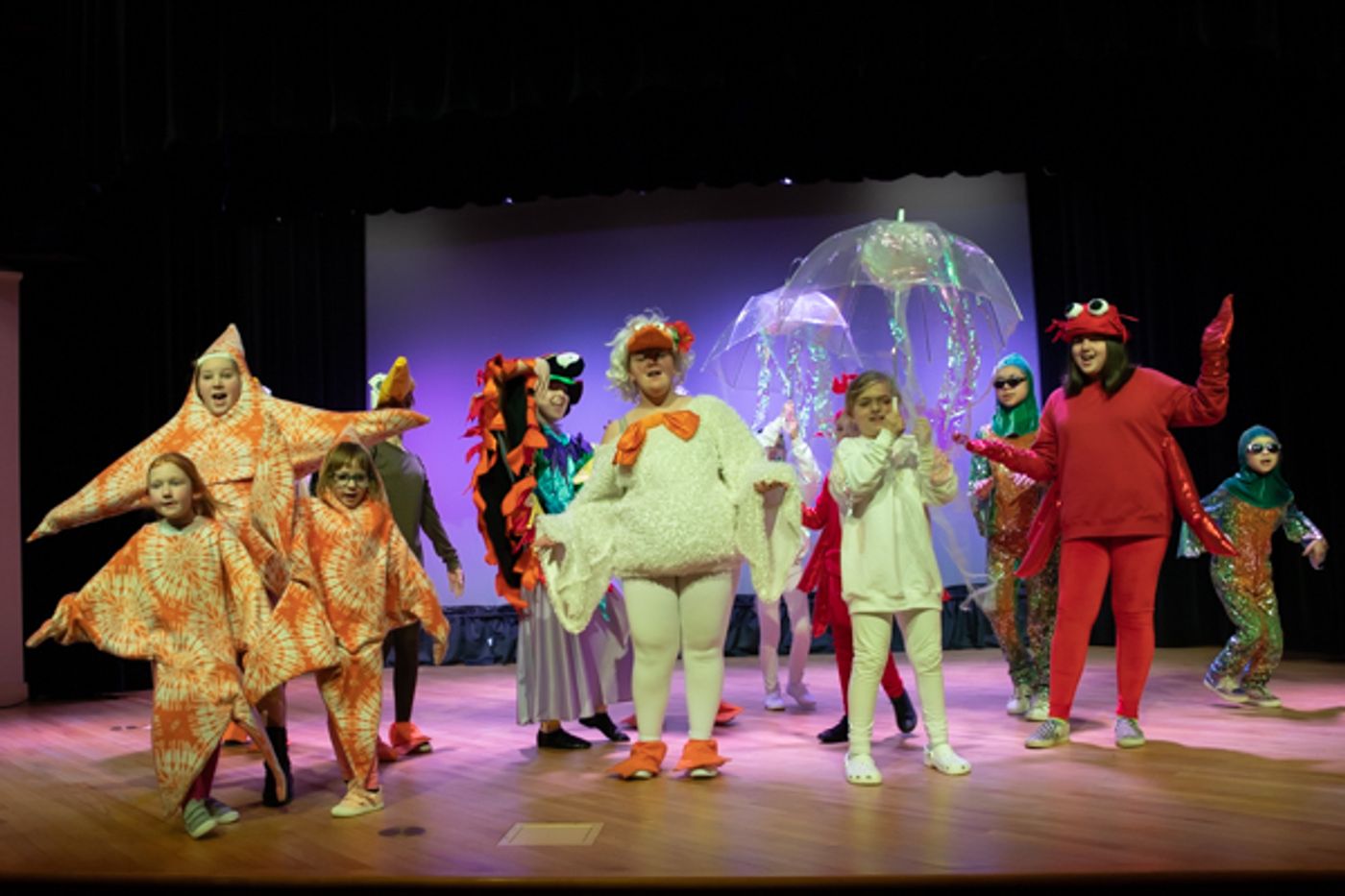 Photo Coverage: First look at Pickerington Community Theatre's PIRATES PAST NOON KIDS  Image