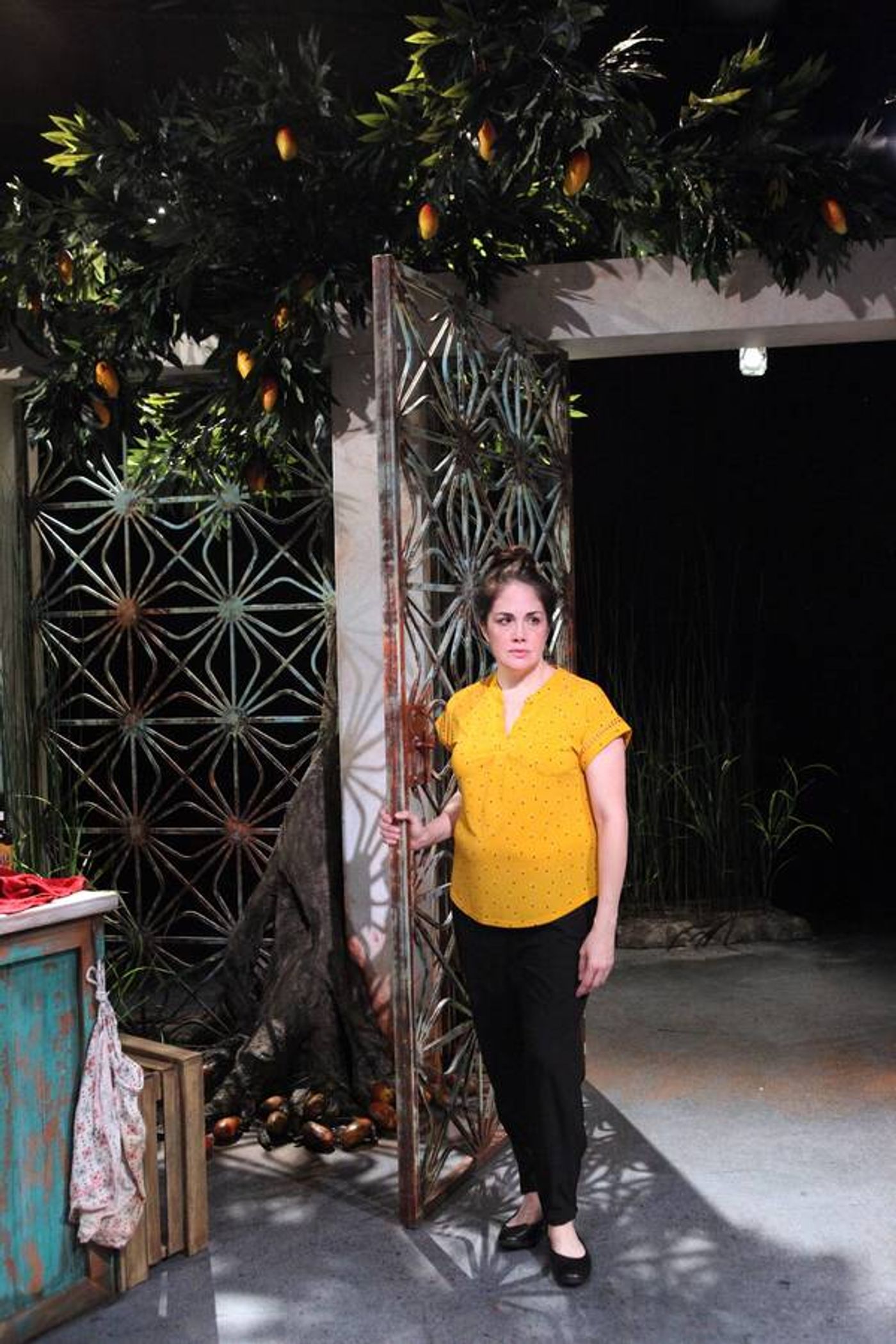 Photo Flash: Magic Theatre Presents the World Premiere of Ricardo Pérez González's DON'T EAT THE MANGOS  Image