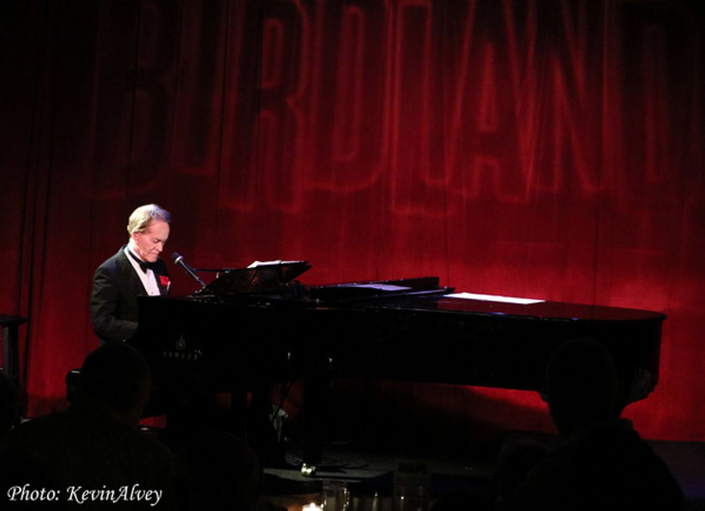 Photo Flash: Steve Ross Brings Cole Porter To Birdland!  Image