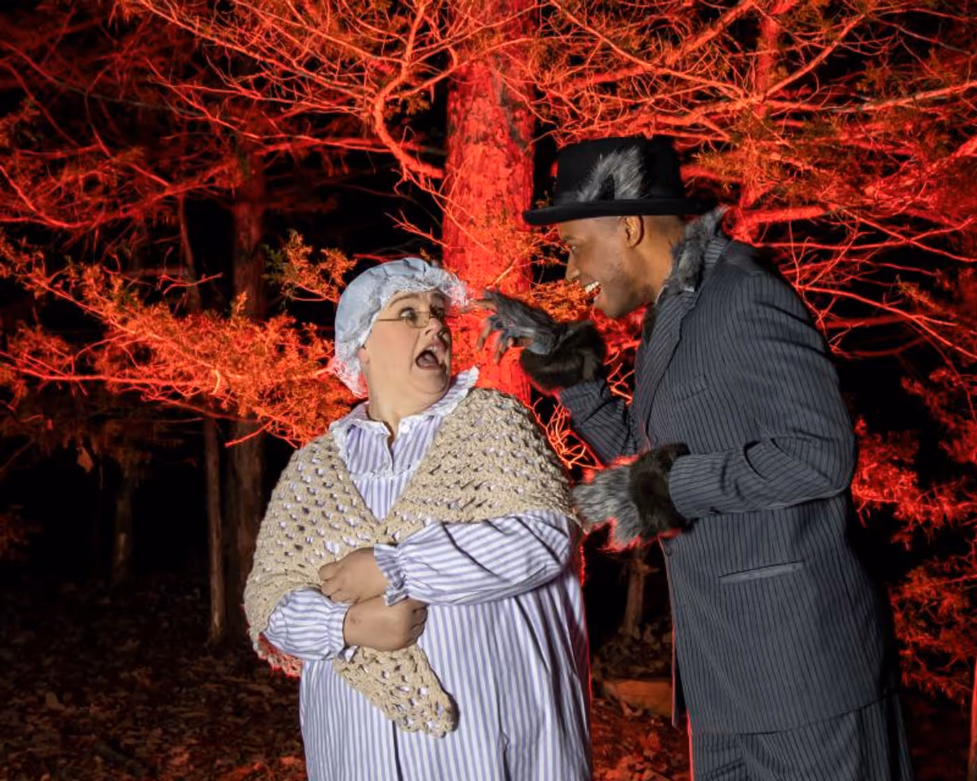 Review: INTO THE WOODS at Red Curtain Theatre Get Their Wishes  Image