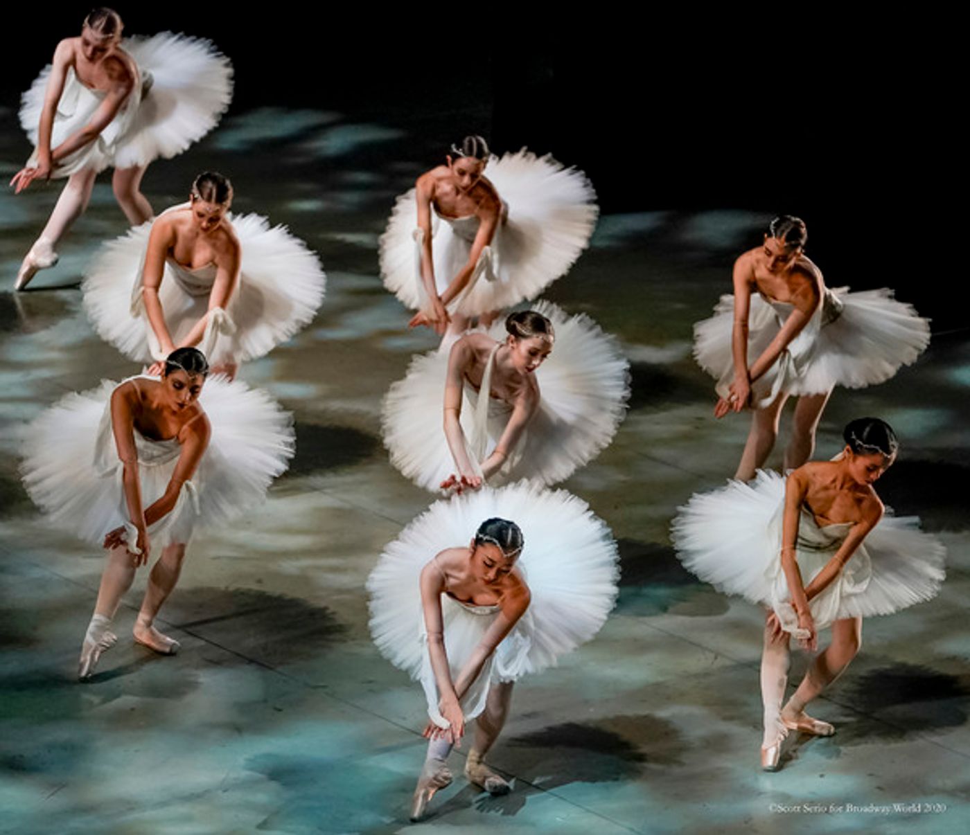 BWW Previews: LA BAYADERE at The Academy Of Music  Image