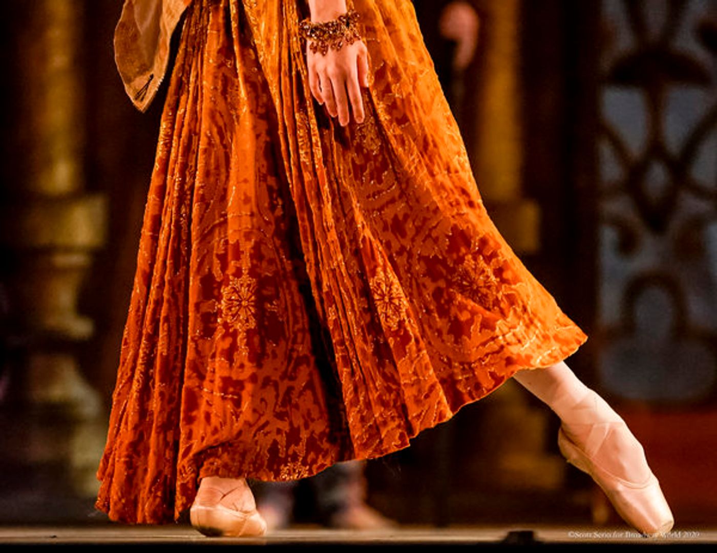 BWW Previews: LA BAYADERE at The Academy Of Music  Image